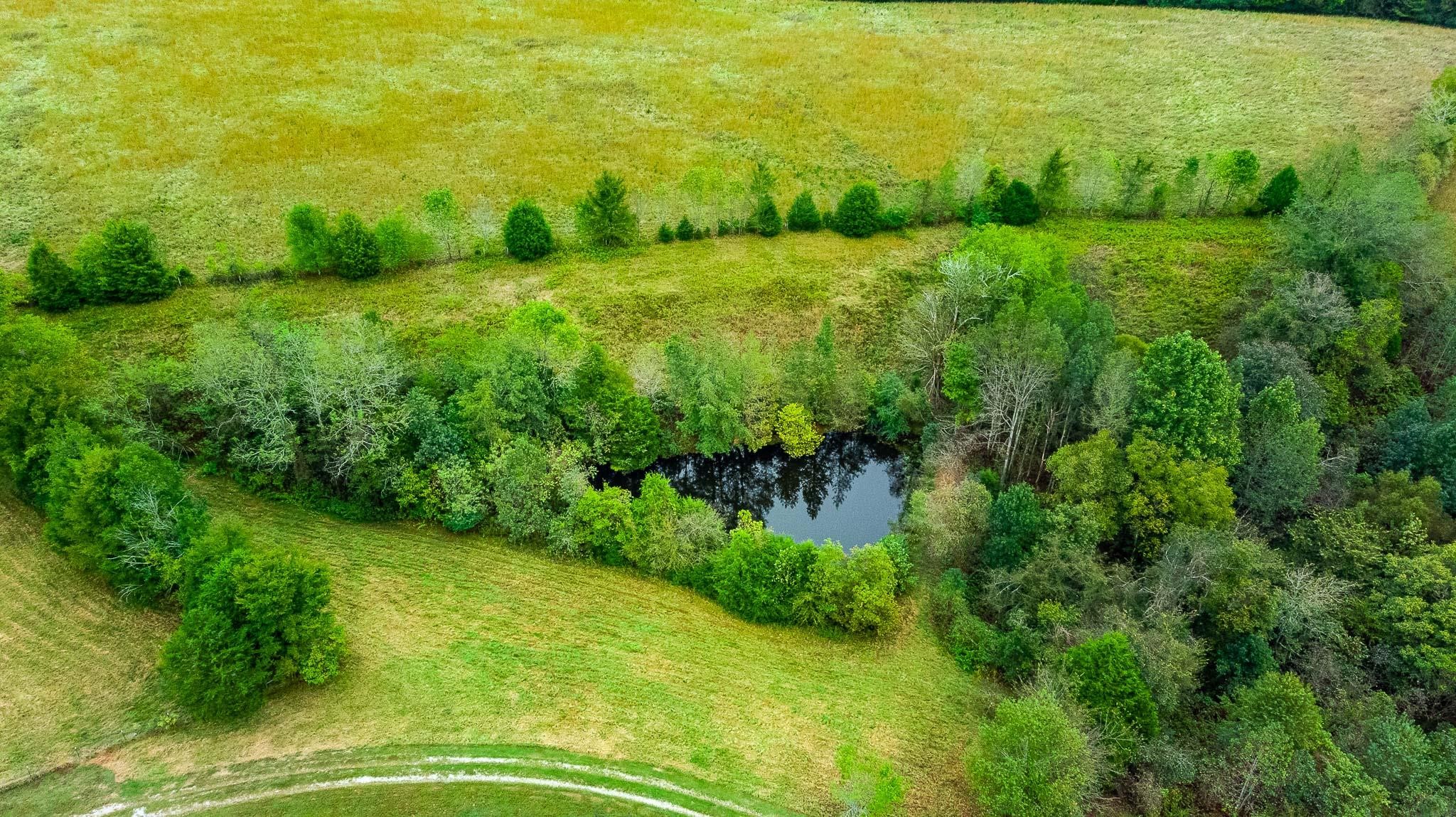 515 Blooming Grove Road Pulaski, TN 38478 - Photo 28 of 30 a view of yard with green space