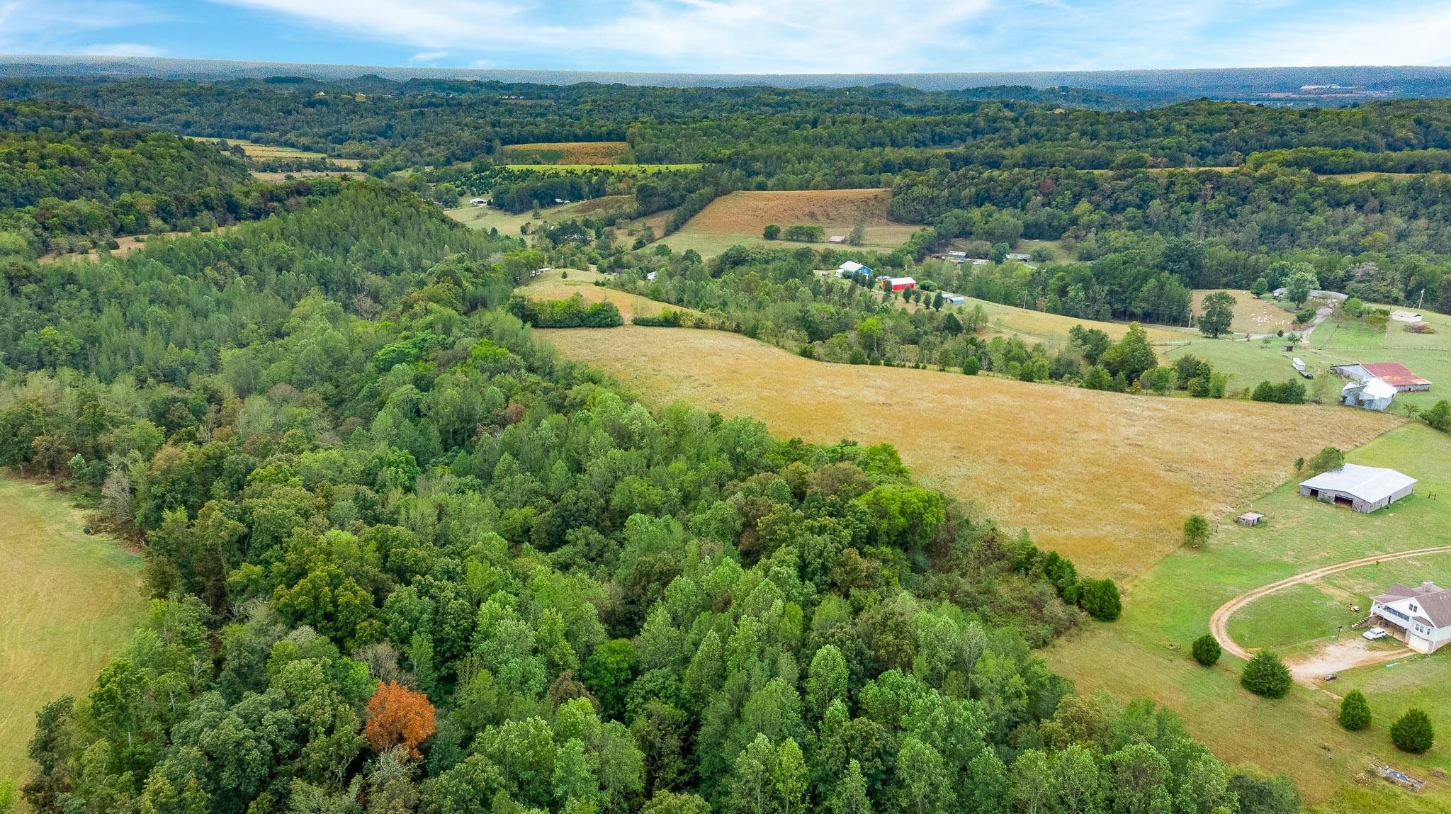 515 Blooming Grove Road Pulaski, TN 38478 - Photo 4 of 30 an aerial view of a houses with a yard