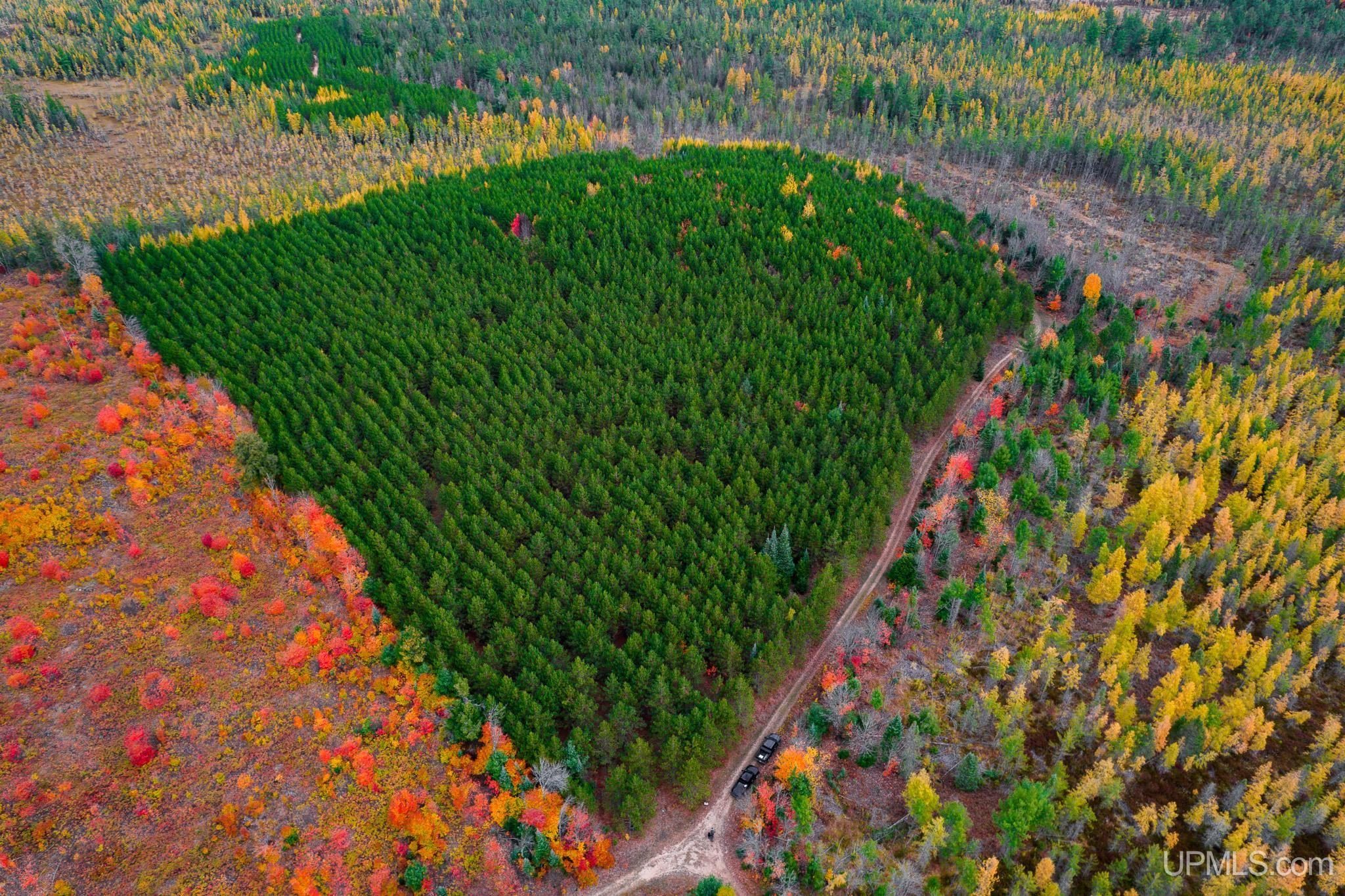 160 Acres Stella Lake Road Wetmore, MI 49895 - Photo 9 of 28