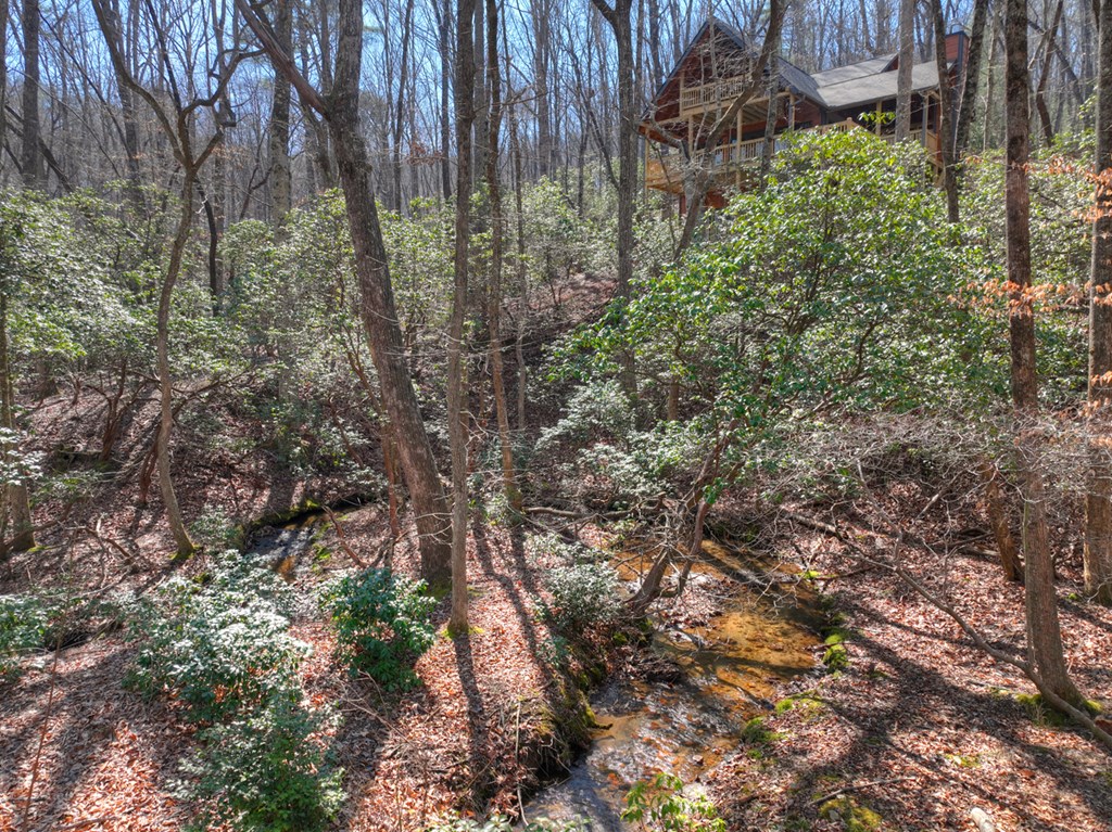 811 Mangum's Trail Blue Ridge, GA 30513 - Photo 25 of 70