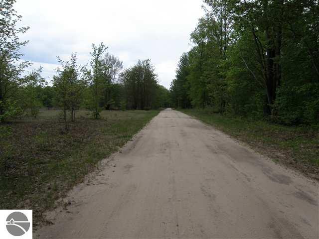 Lot 10 Roberts Road, Unit LOT: 10 Beulah, MI 49617 - Photo 9 of 20 Gallery Image 9