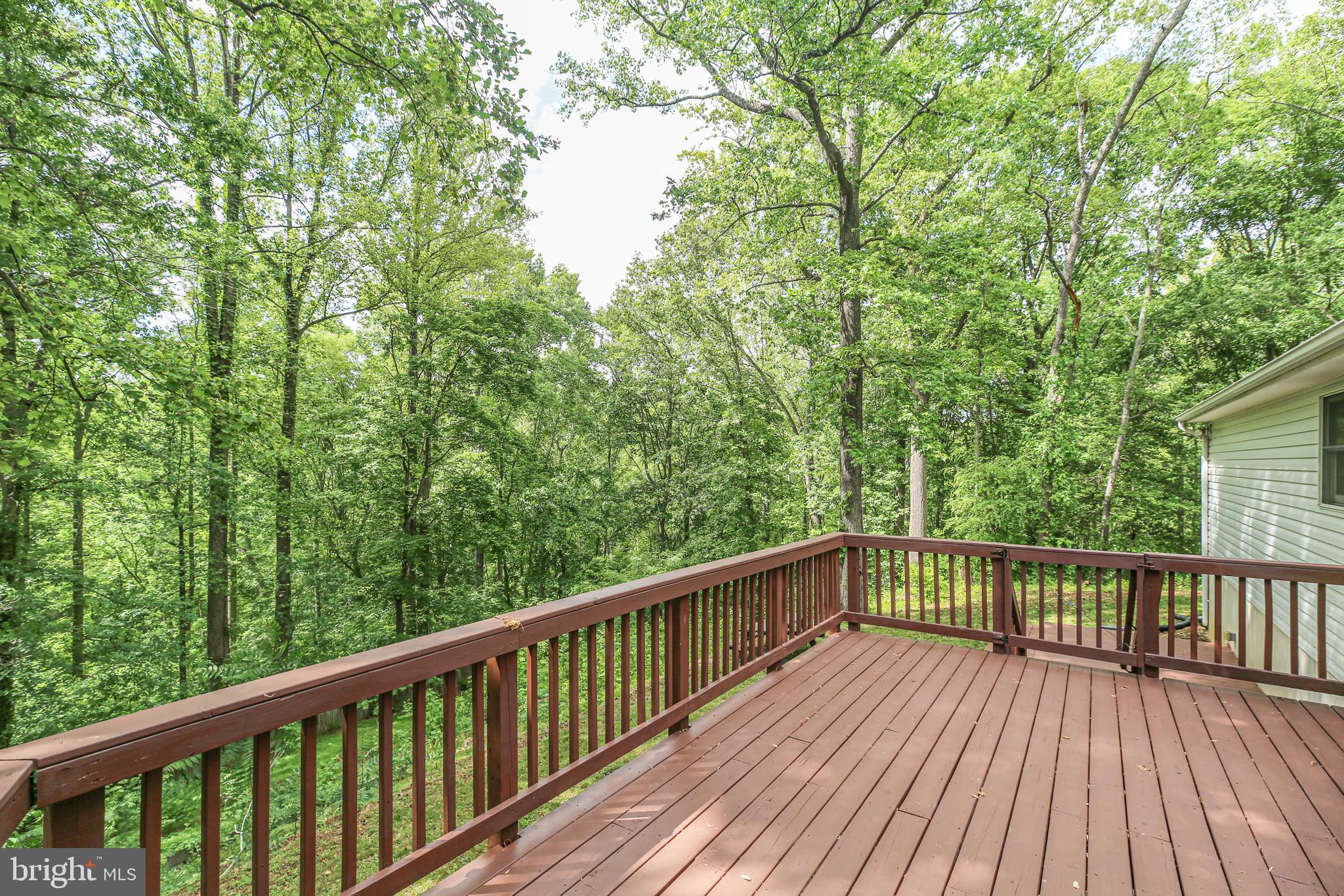 289 Sandy Ridge Road Fredericksburg, VA 22405 - Photo 33 of 37
