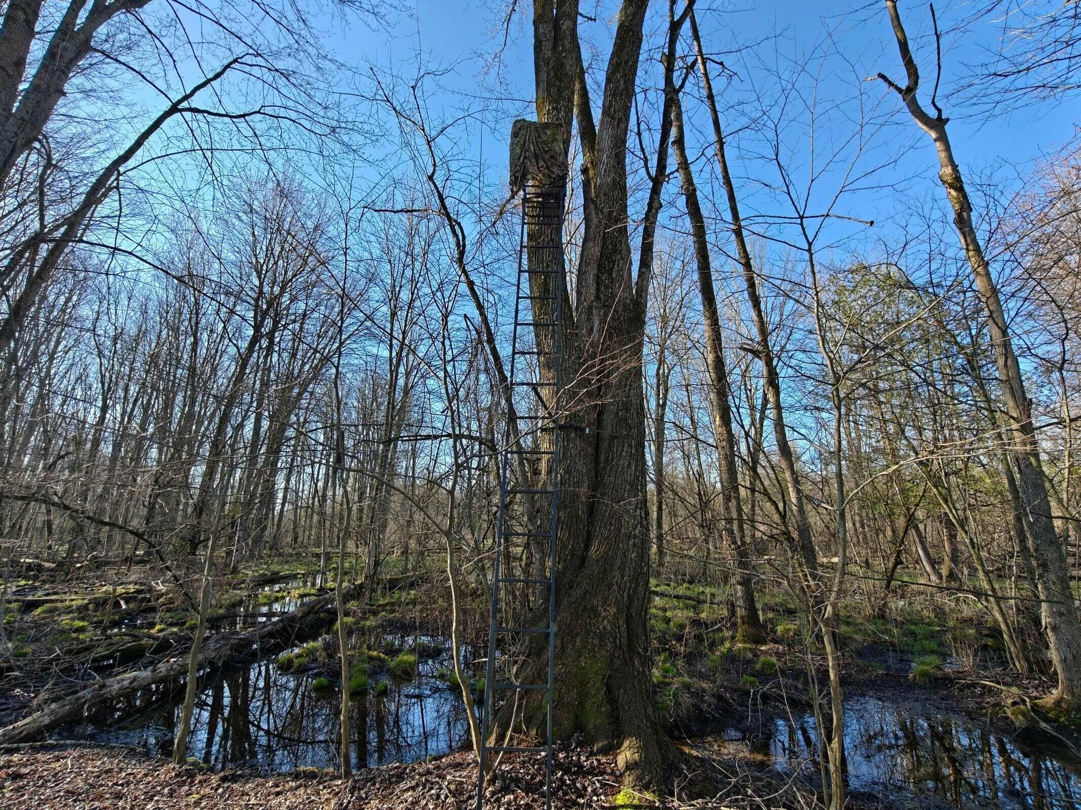 10830 West 3 Mile Road Branch, MI 49402 - Photo 11 of 31 20250422171039972912000000-o