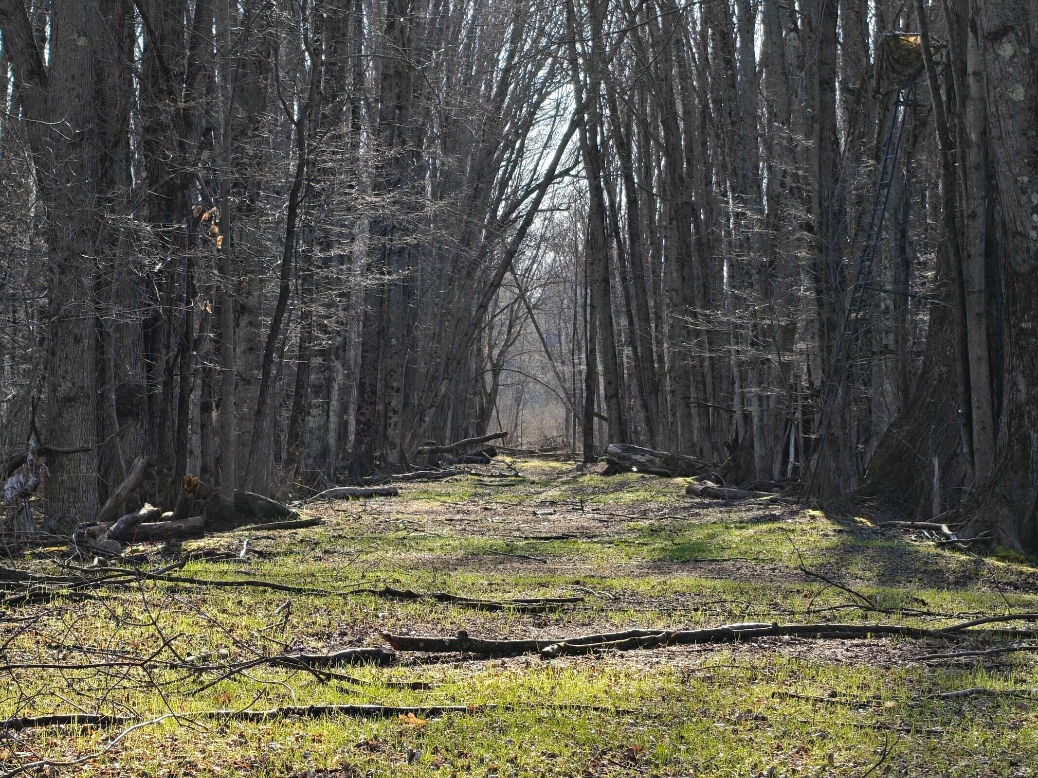 10830 West 3 Mile Road Branch, MI 49402 - Photo 12 of 31 20250422171110300433000000-o