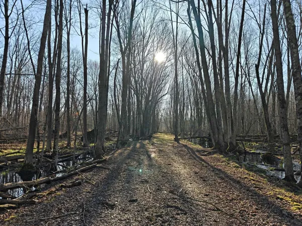 $180,000 | 10830 West 3 Mile Road, Branch, MI 49402
