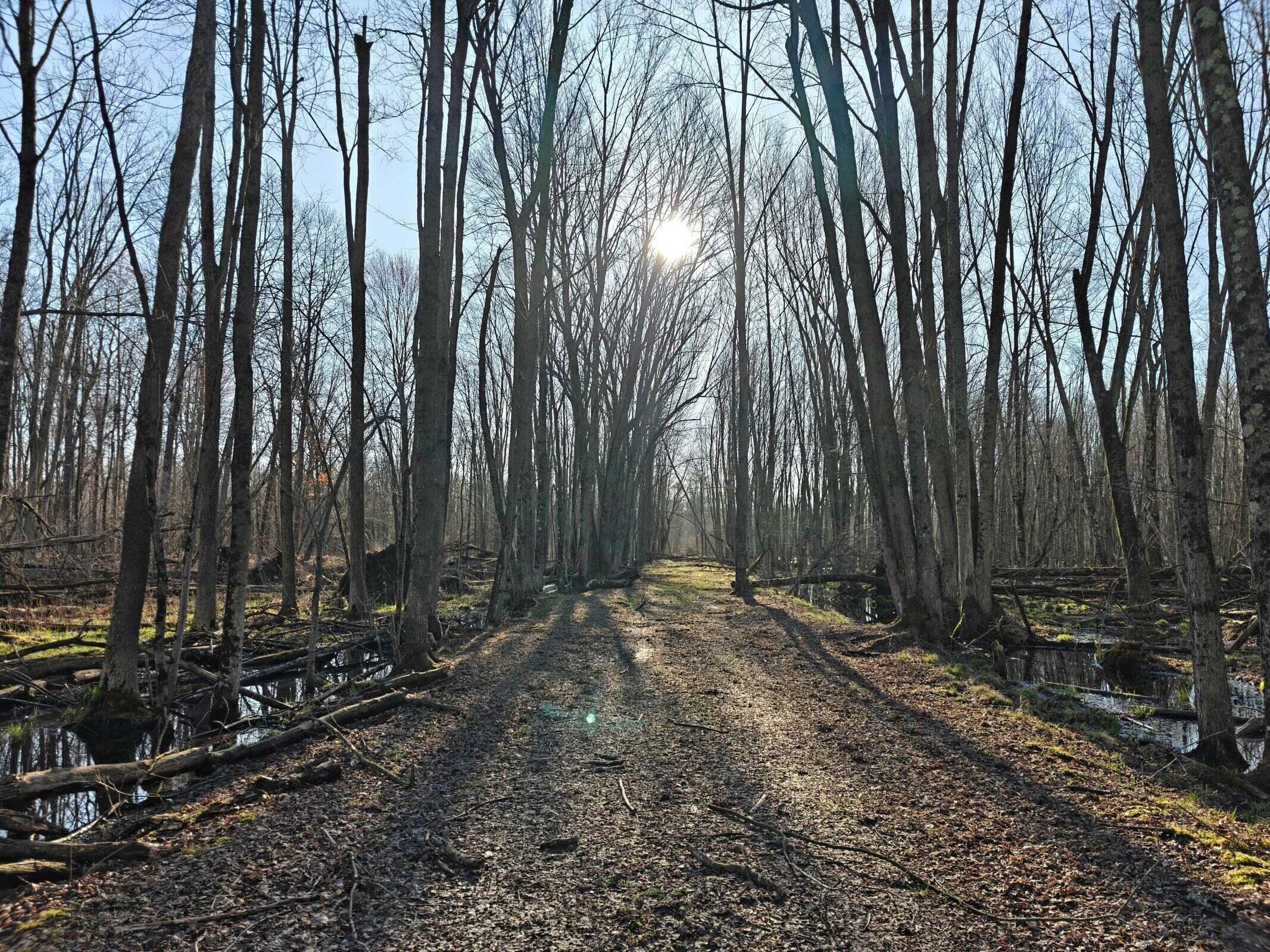 10830 West 3 Mile Road Branch, MI 49402 - Photo 13 of 31 20250422170838925306000000-o