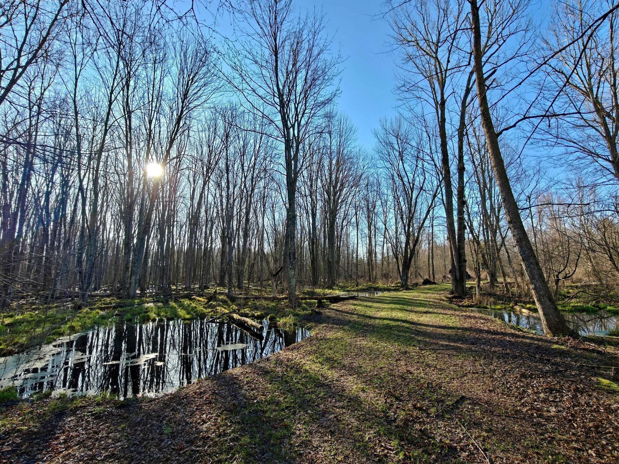 10830 West 3 Mile Road Branch, MI 49402 - Photo 14 of 31 20250422171101394433000000-o