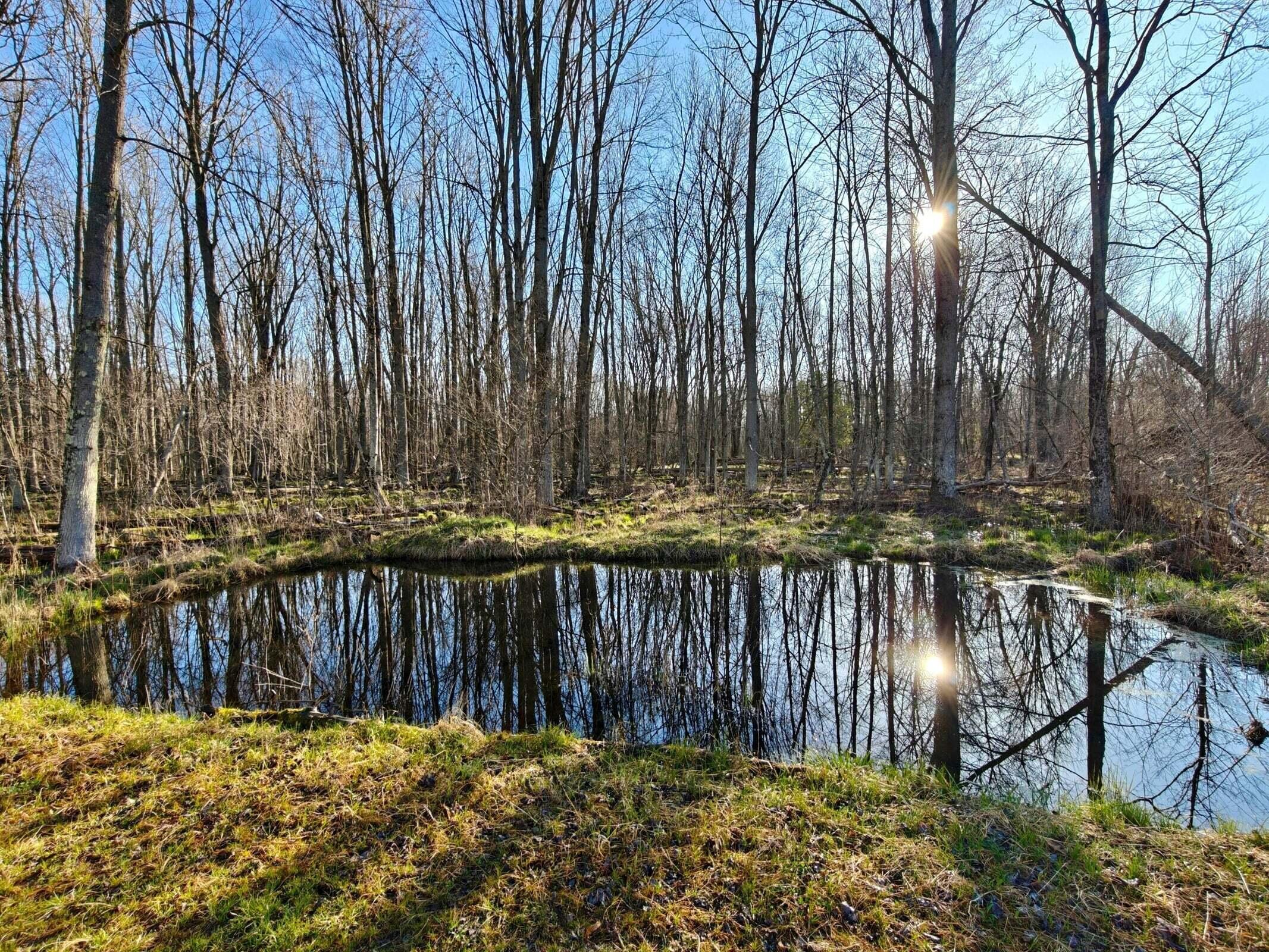 10830 West 3 Mile Road Branch, MI 49402 - Photo 15 of 31 20250422170745971176000000-o