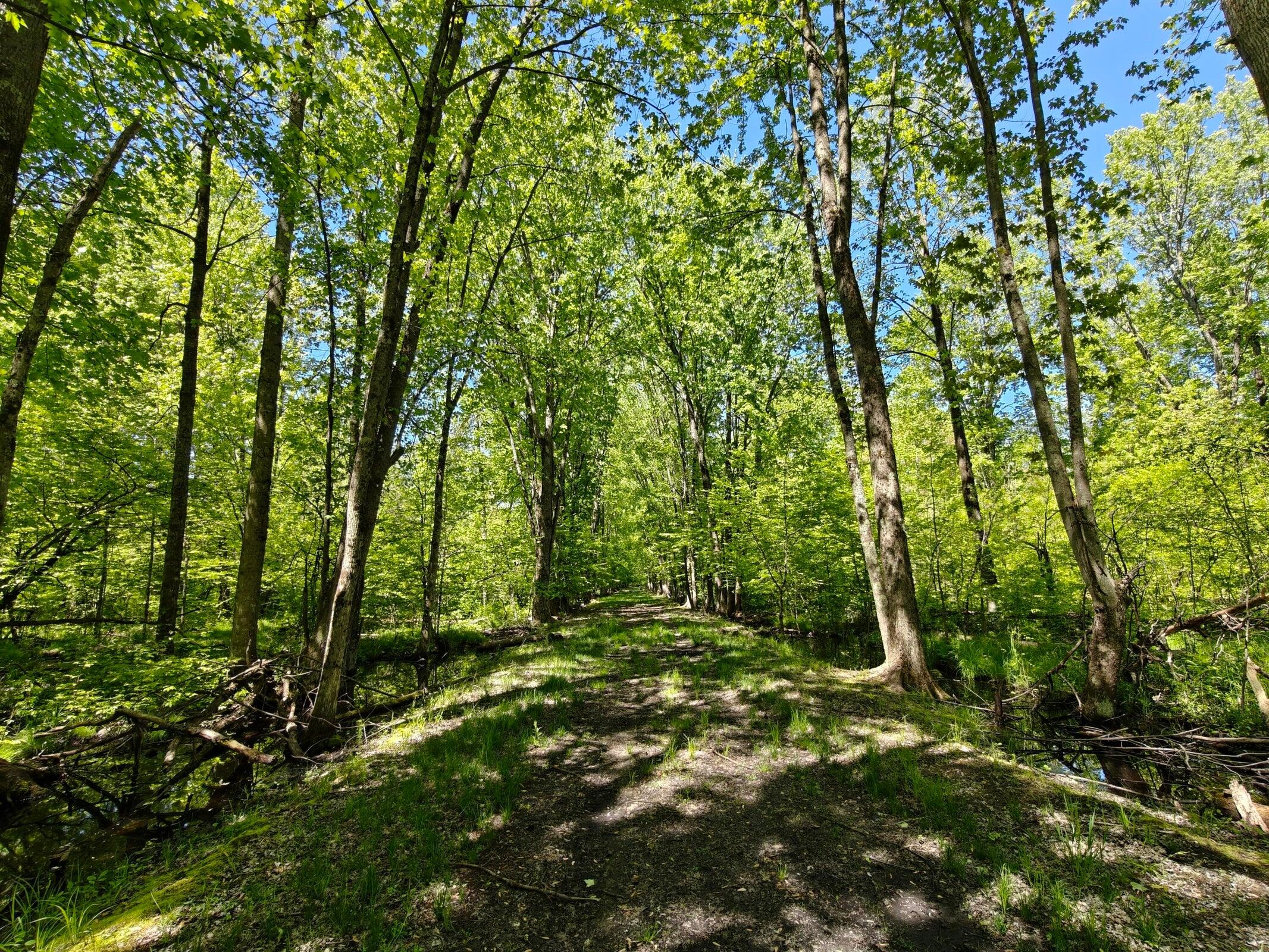10830 West 3 Mile Road Branch, MI 49402 - Photo 16 of 31 20250527131730609548000000-o