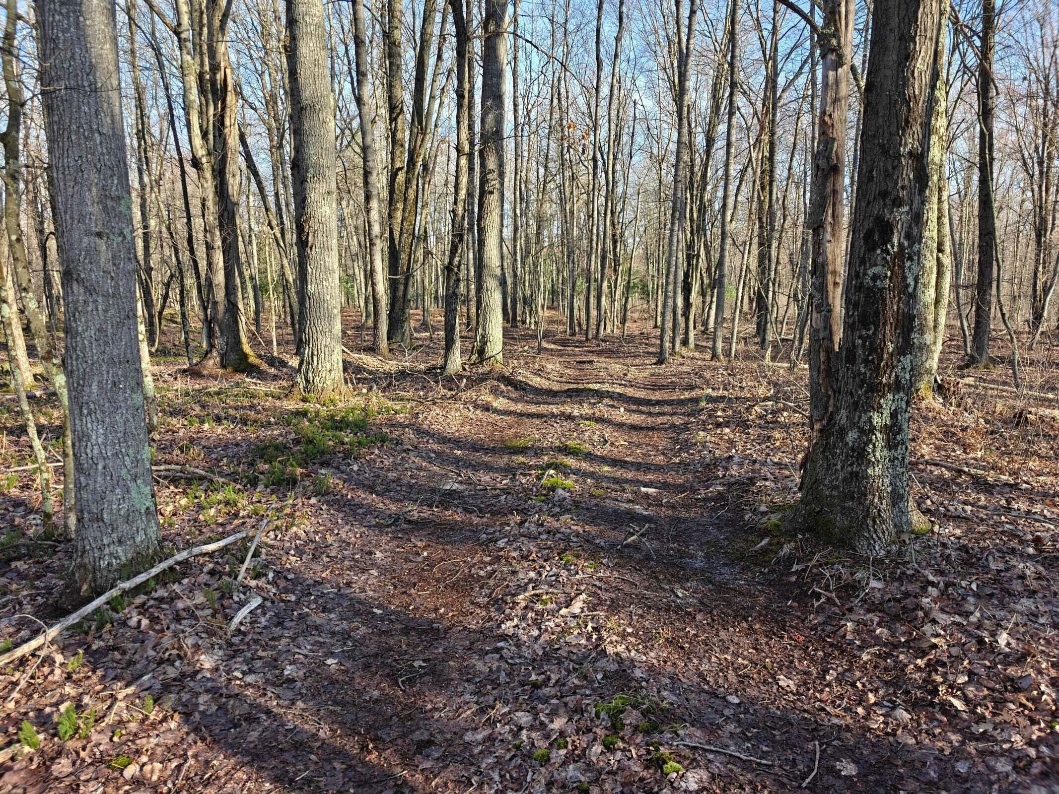 10830 West 3 Mile Road Branch, MI 49402 - Photo 17 of 31 20250422165938017247000000-o