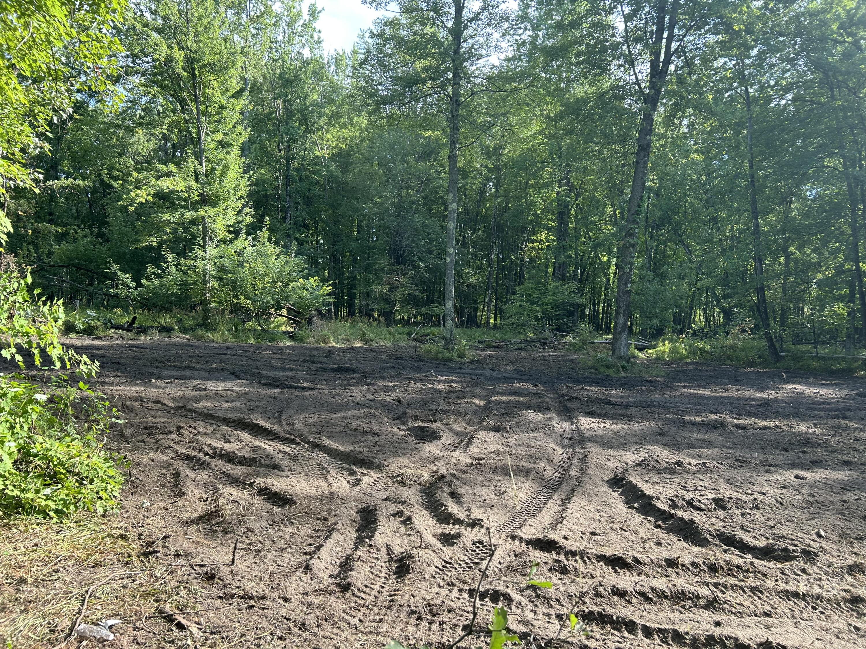 10830 West 3 Mile Road Branch, MI 49402 - Photo 18 of 31 IMG_5486