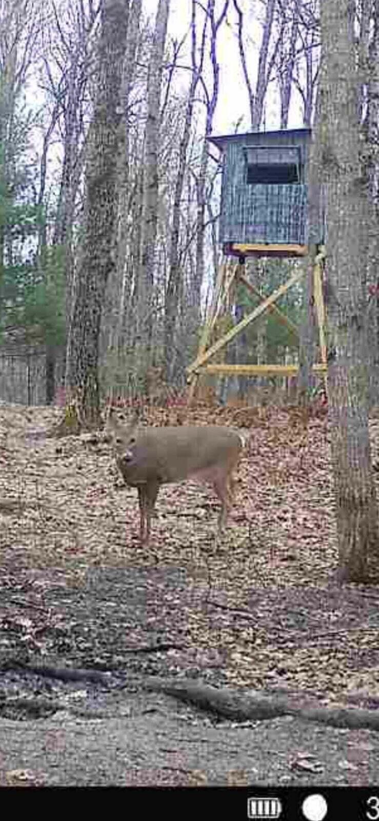 10830 West 3 Mile Road Branch, MI 49402 - Photo 24 of 31 20250422171427116646000000-o
