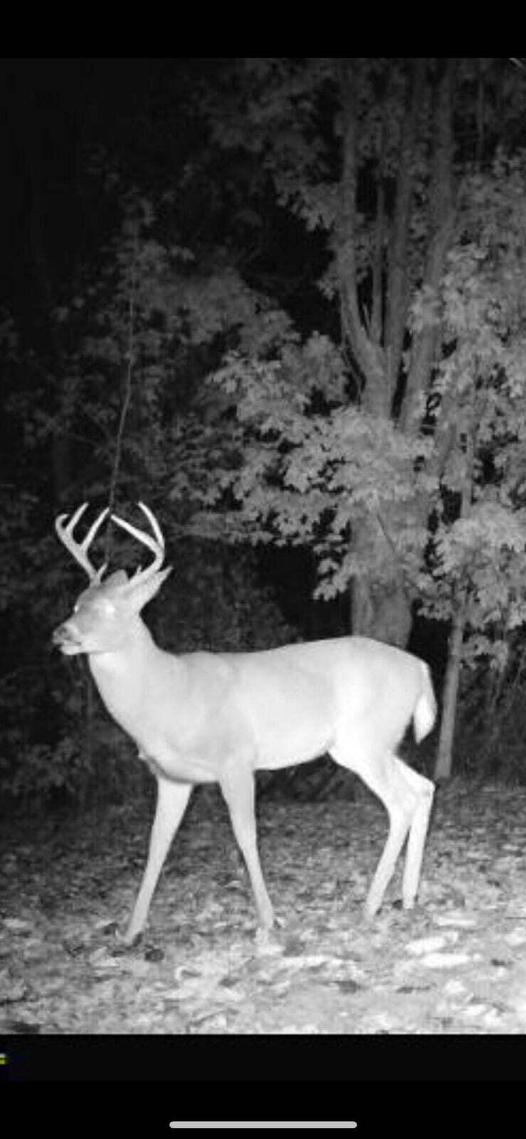 10830 West 3 Mile Road Branch, MI 49402 - Photo 25 of 31 20250422171407157530000000-o