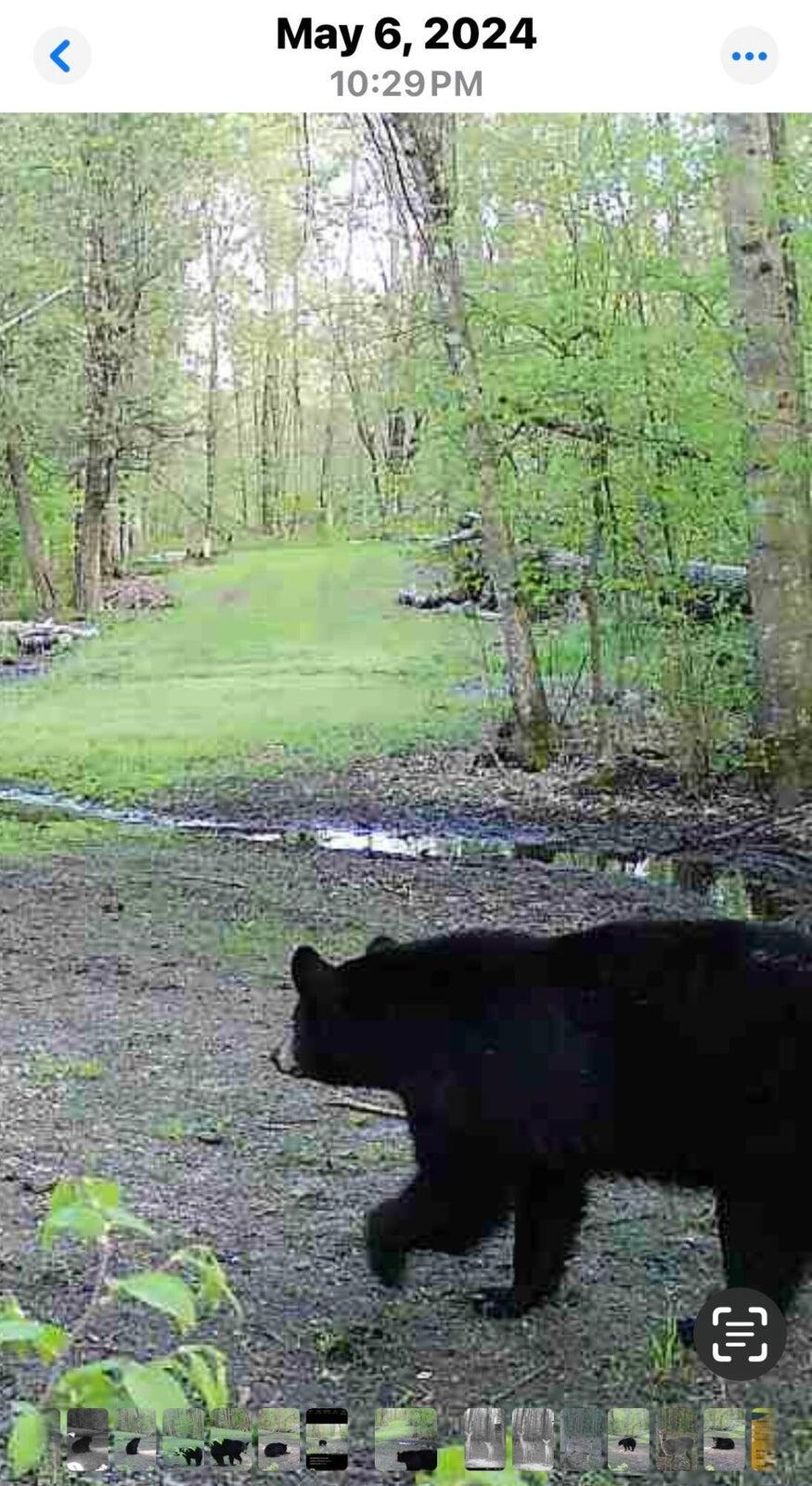 10830 West 3 Mile Road Branch, MI 49402 - Photo 26 of 31 20250422171404702395000000-o