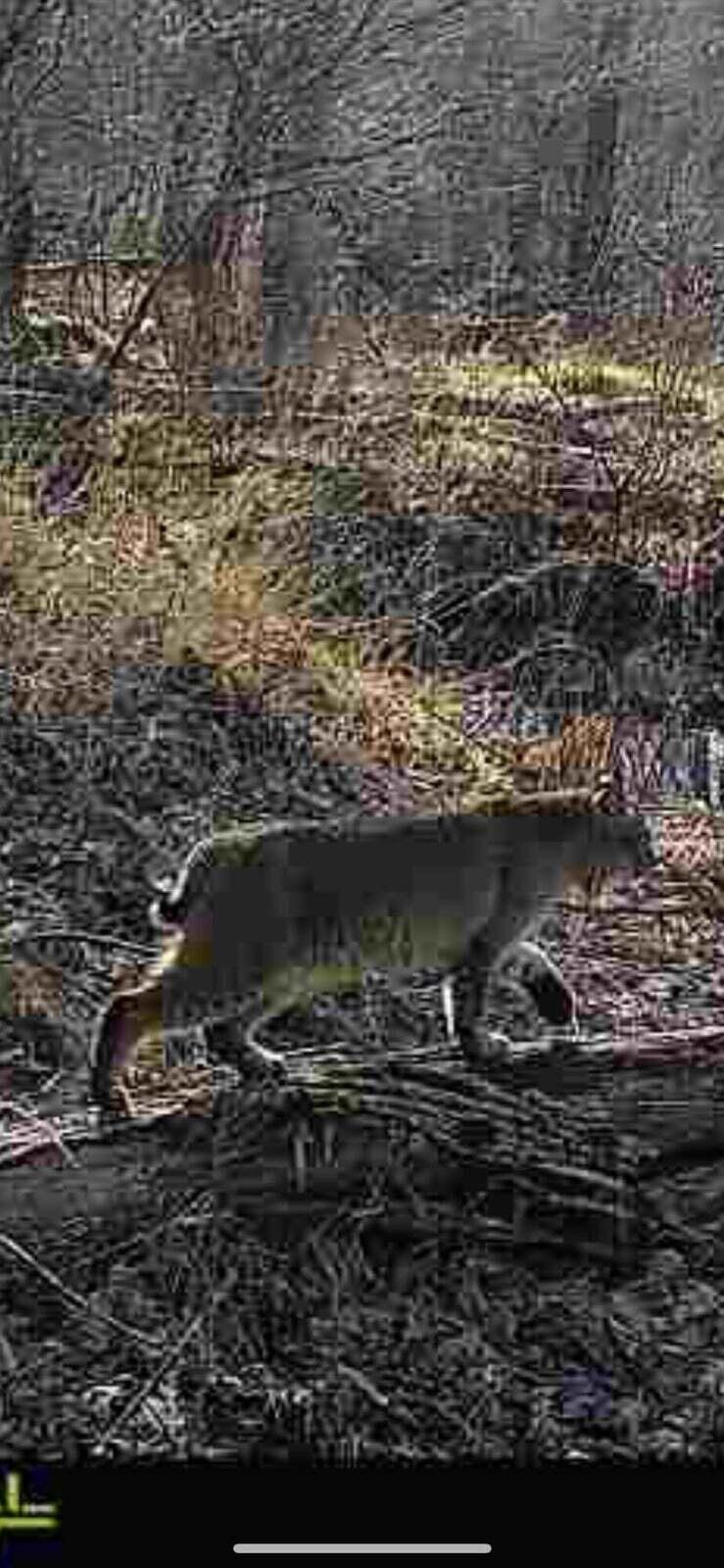 10830 West 3 Mile Road Branch, MI 49402 - Photo 27 of 31 20250422171349503388000000-o