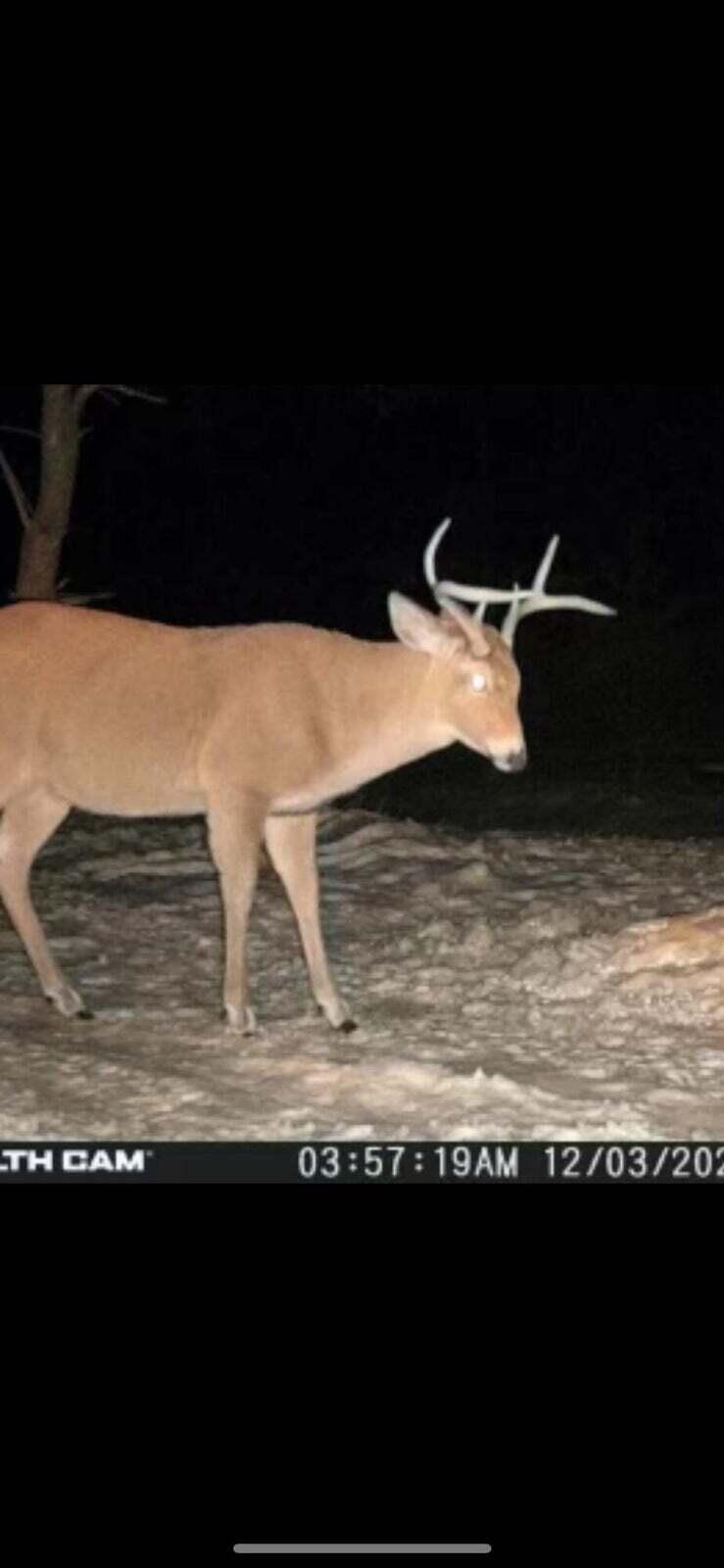 10830 West 3 Mile Road Branch, MI 49402 - Photo 28 of 31 20250422171402254948000000-o