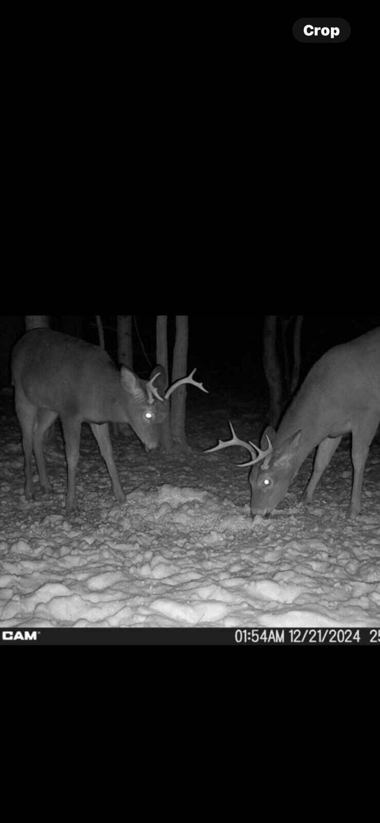 10830 West 3 Mile Road Branch, MI 49402 - Photo 29 of 31 20250422171353318802000000-o