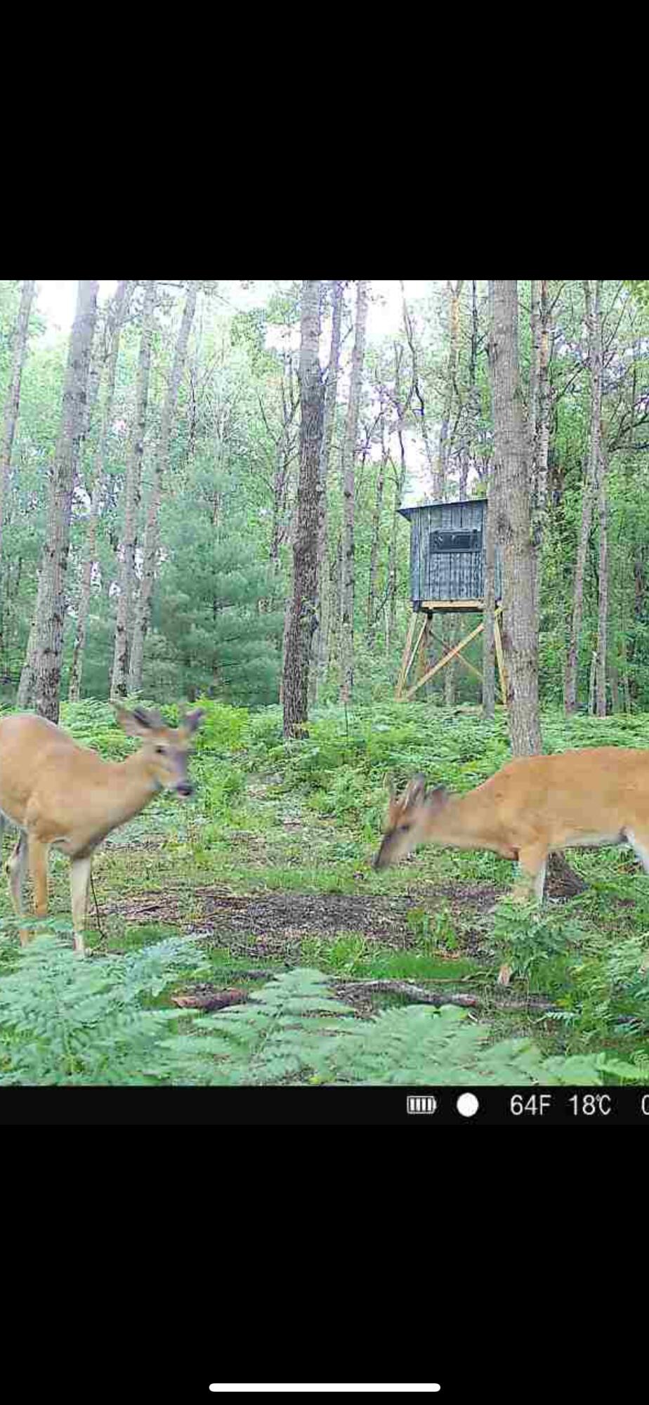 10830 West 3 Mile Road Branch, MI 49402 - Photo 30 of 31 IMG_4565