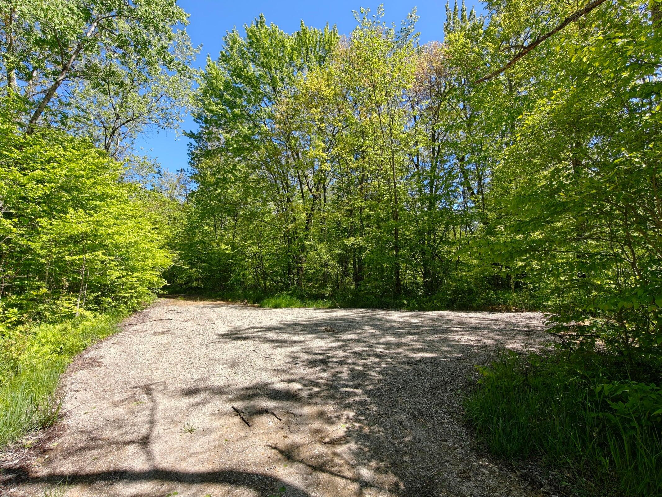 10830 West 3 Mile Road Branch, MI 49402 - Photo 3 of 31 20250527131912724180000000-o