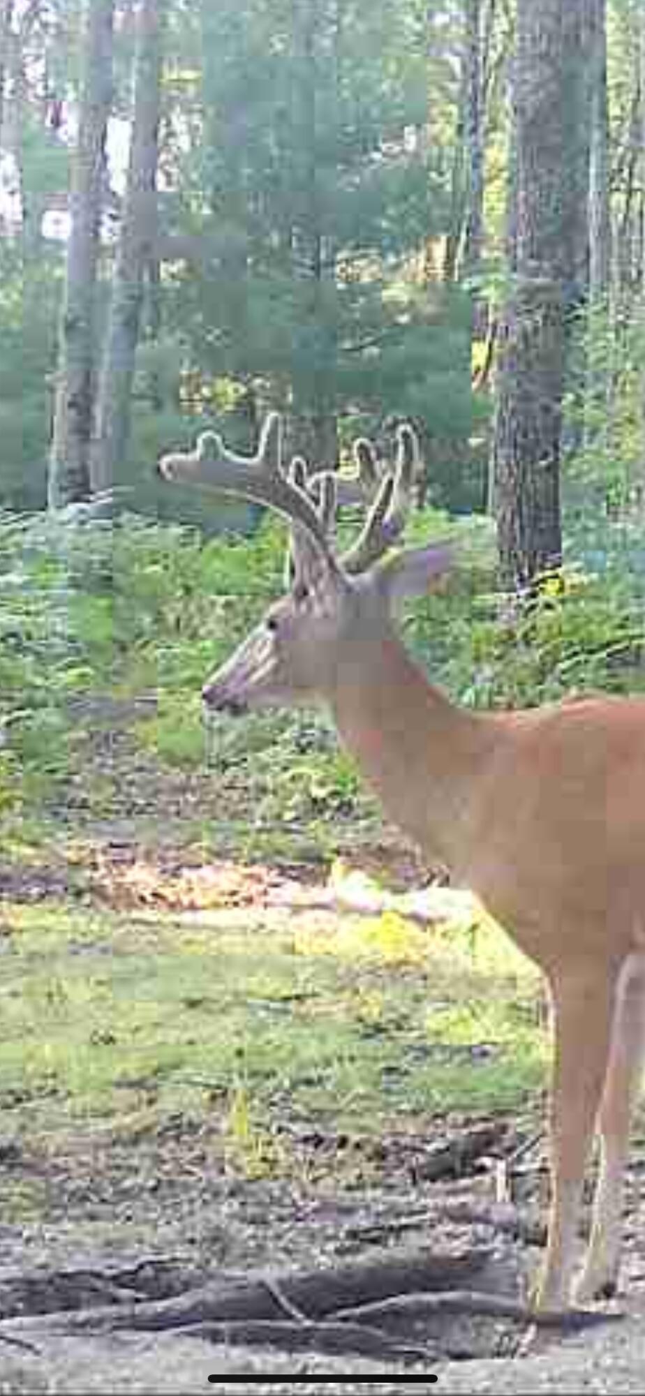 10830 West 3 Mile Road Branch, MI 49402 - Photo 31 of 31 IMG_5057