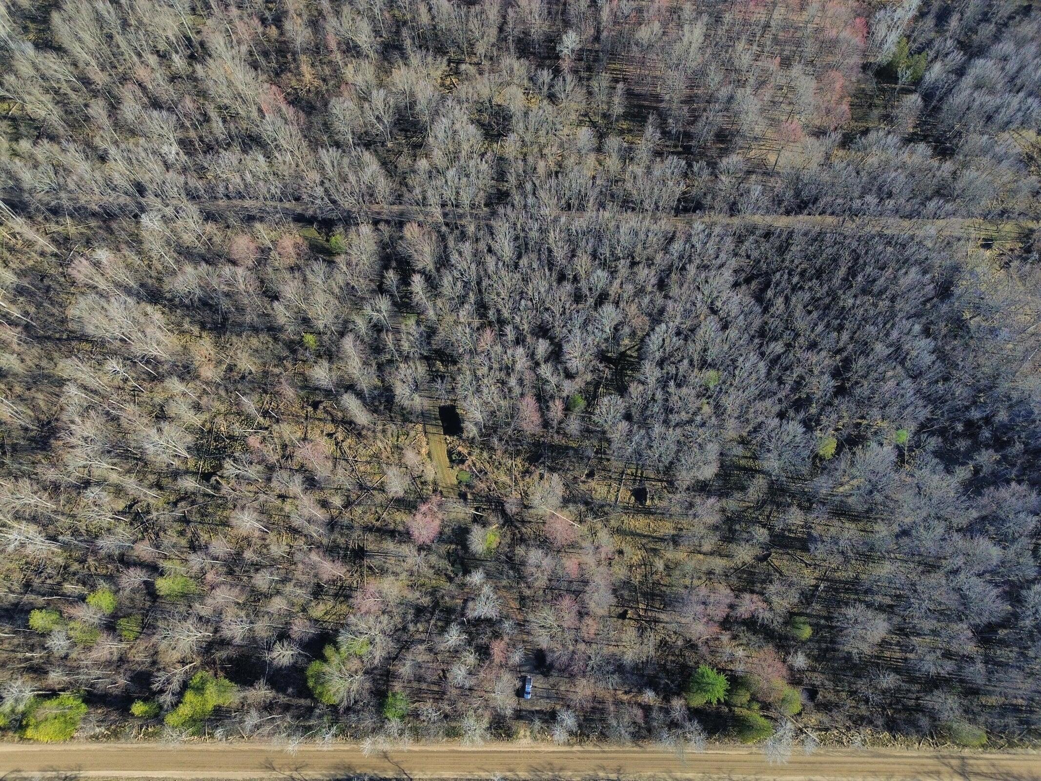 10830 West 3 Mile Road Branch, MI 49402 - Photo 4 of 31 20250422164007879144000000-o