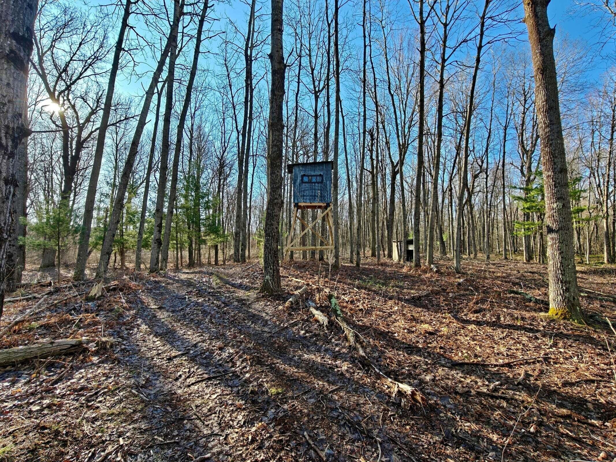 10830 West 3 Mile Road Branch, MI 49402 - Photo 6 of 31 20250422170807950877000000-o