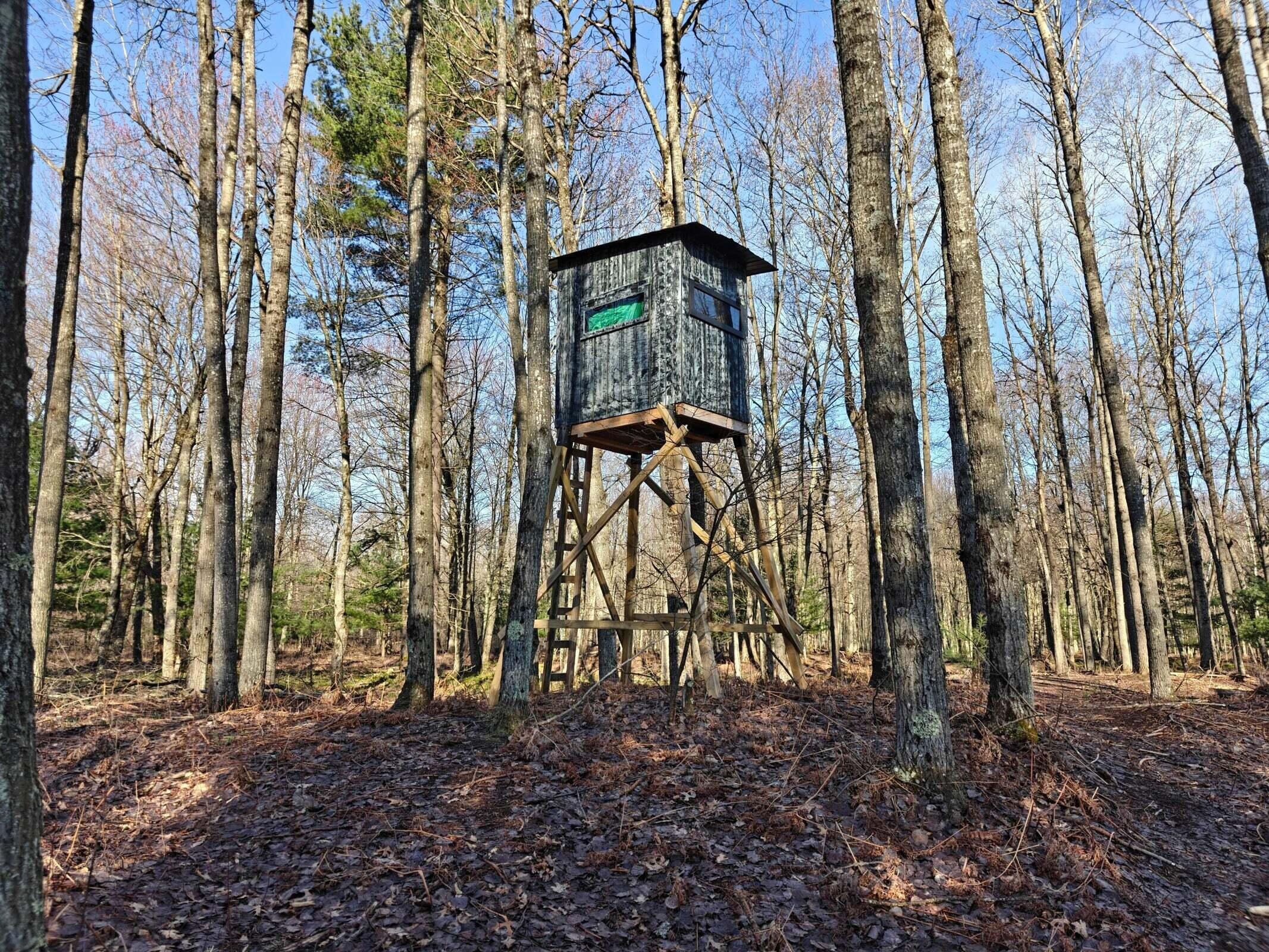 10830 West 3 Mile Road Branch, MI 49402 - Photo 7 of 31 20250422170859774002000000-o