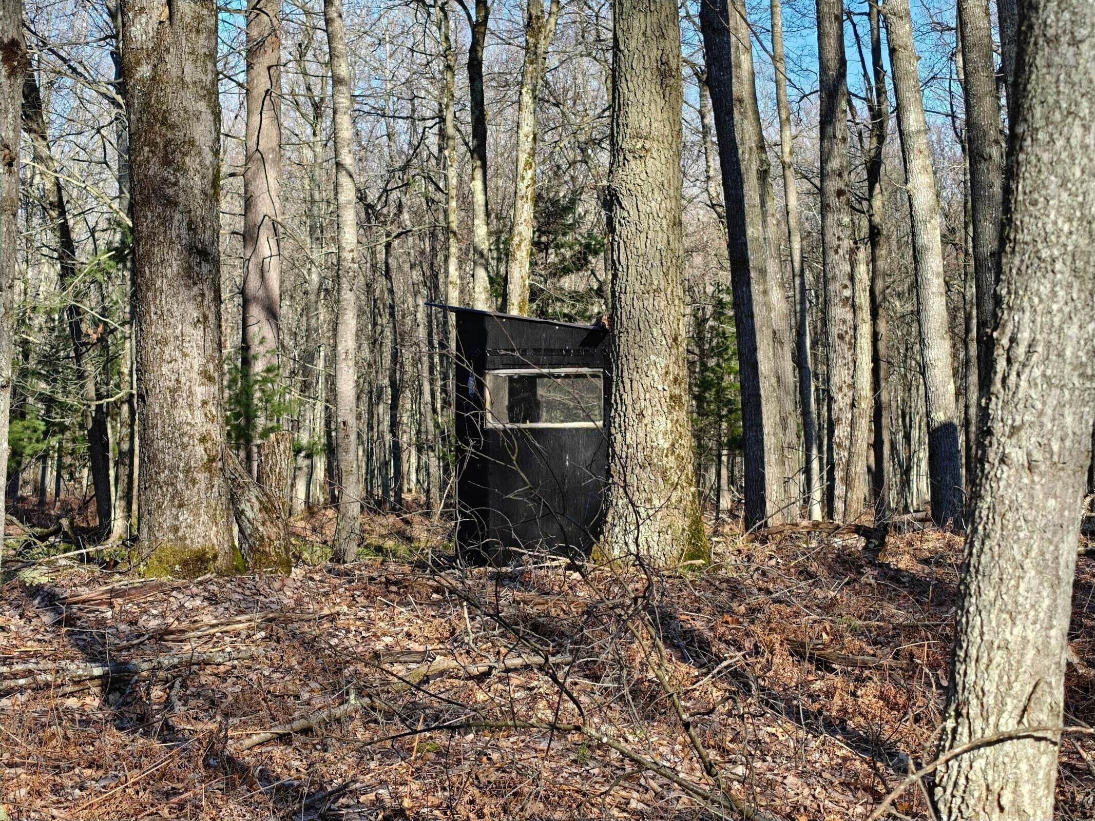 10830 West 3 Mile Road Branch, MI 49402 - Photo 9 of 31 20250422170849521526000000-o