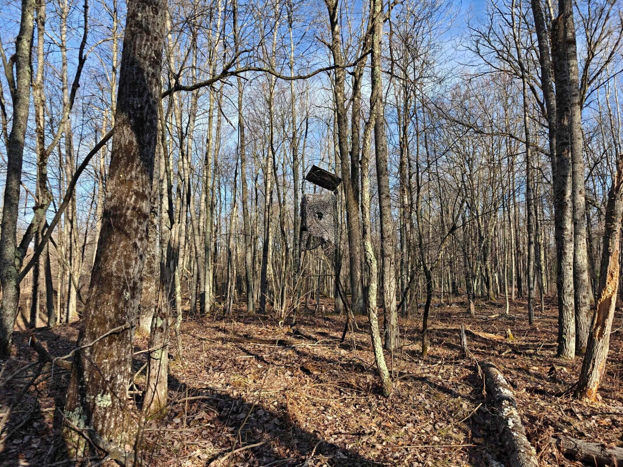 10830 West 3 Mile Road Branch, MI 49402 - Photo 10 of 31 20250422170922665573000000-o