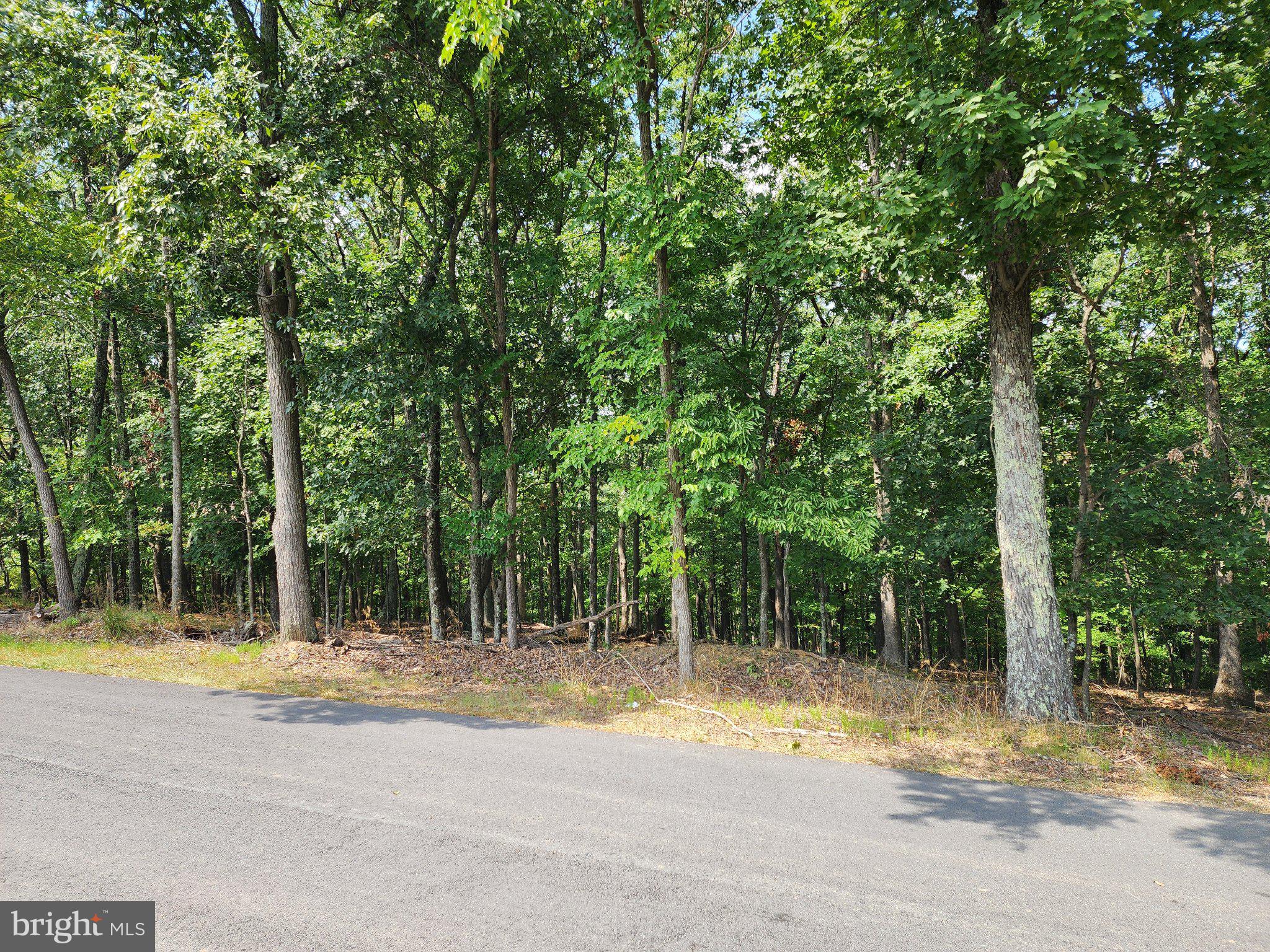 2.53 Acres Timber Ridge Road Berkeley Springs, WV 25411 - Photo 4 of 13 Gallery Image 4