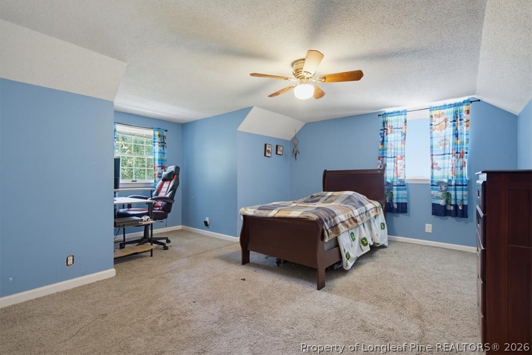 3055 Cedar Hill Road Robbins, NC 27325 - Photo 28 of 50 Gallery Image 28