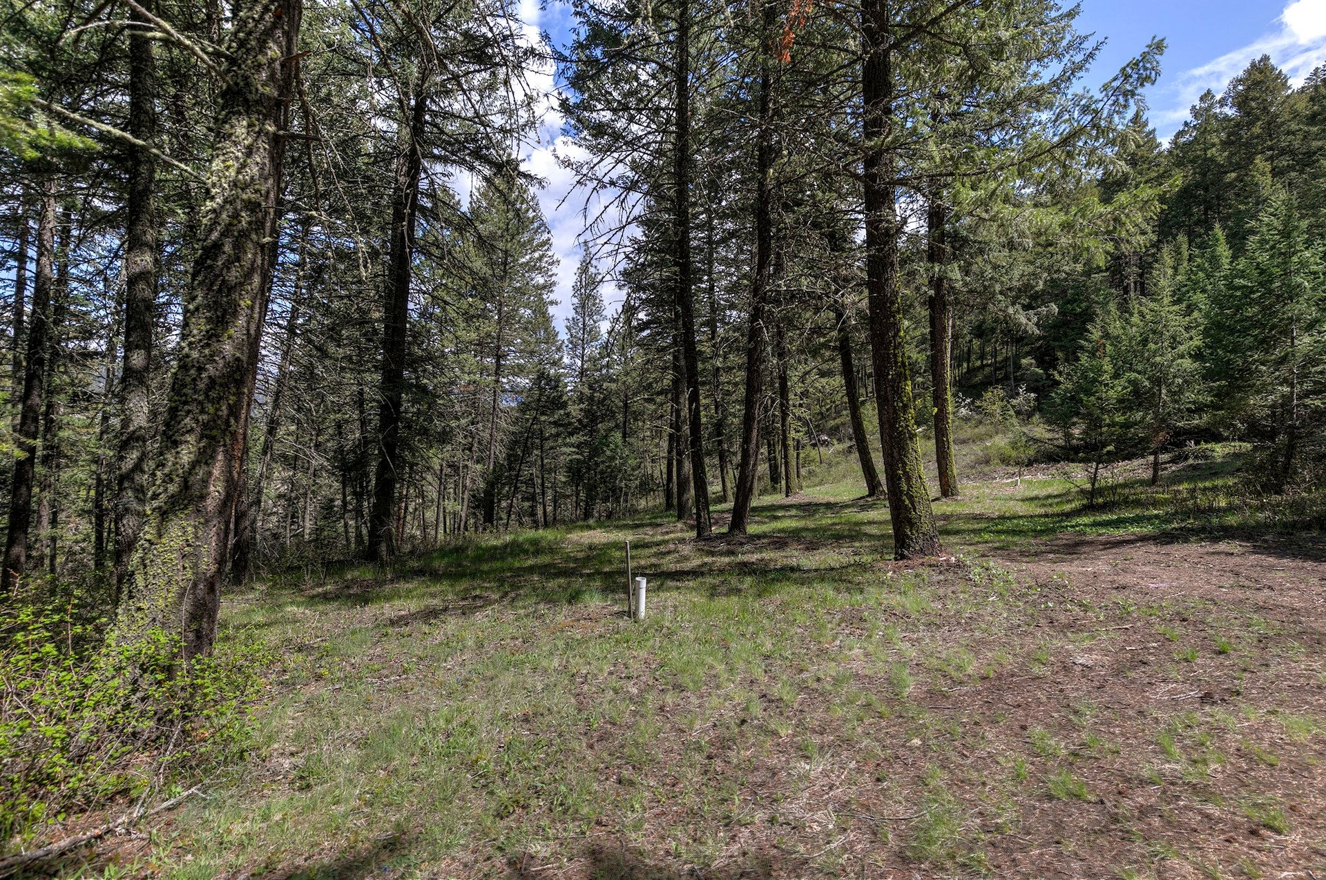 13275 Balsam Root Road Lolo, MT 59847 - Photo 9 of 36 Gallery Image 9