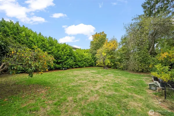 a view of a field with a trees in the background