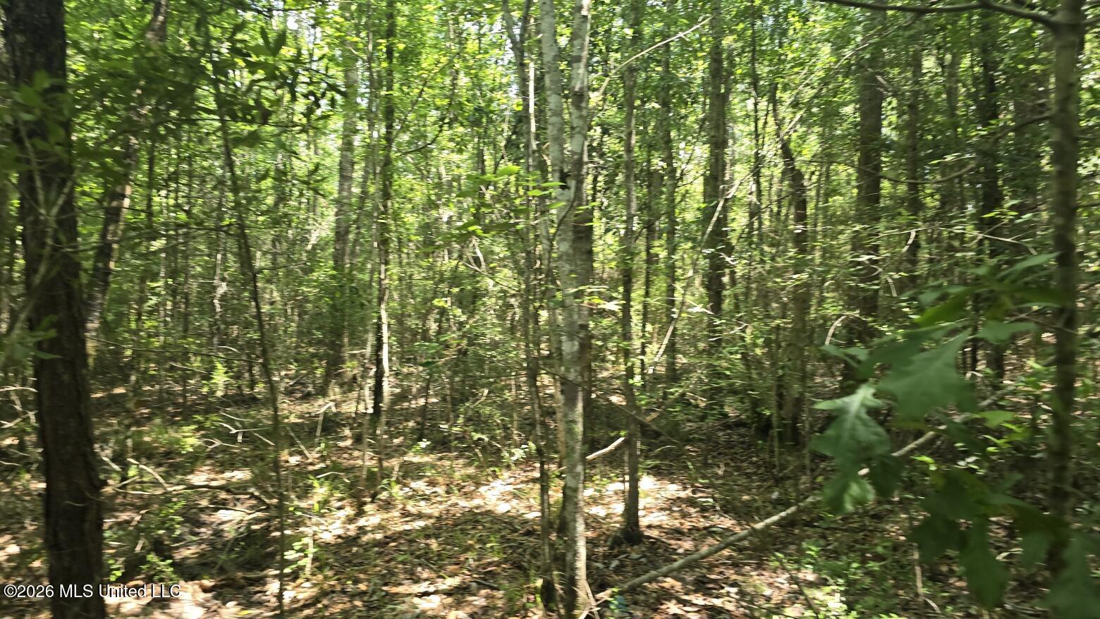 Addison Road State Line, MS 39362 - Photo 24 of 32 20260602_121546