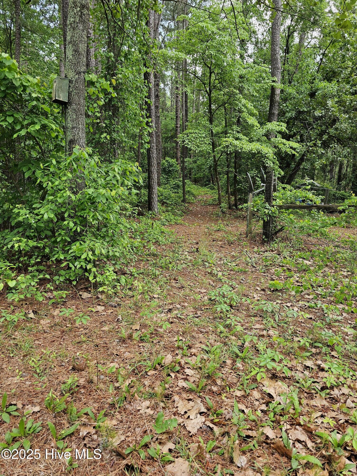 181 Joel Road Carthage, NC 28327 - Photo 28 of 33 20250515_140304