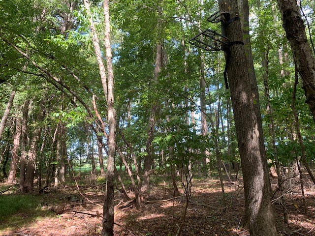 D Cheriton Cross Road, Unit D Cape Charles, VA 23310 - Photo 24 of 37