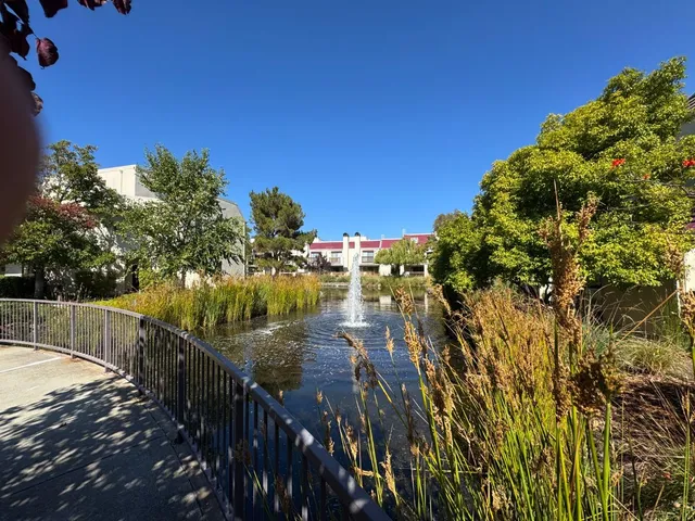 a view of a grassy field with trees