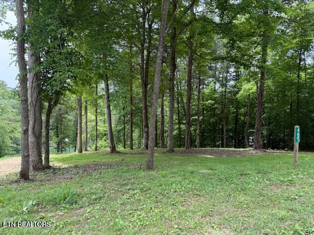 485 Highland Trace Road Sharps Chapel, TN 37866 - Photo 12 of 19 IMG_7119