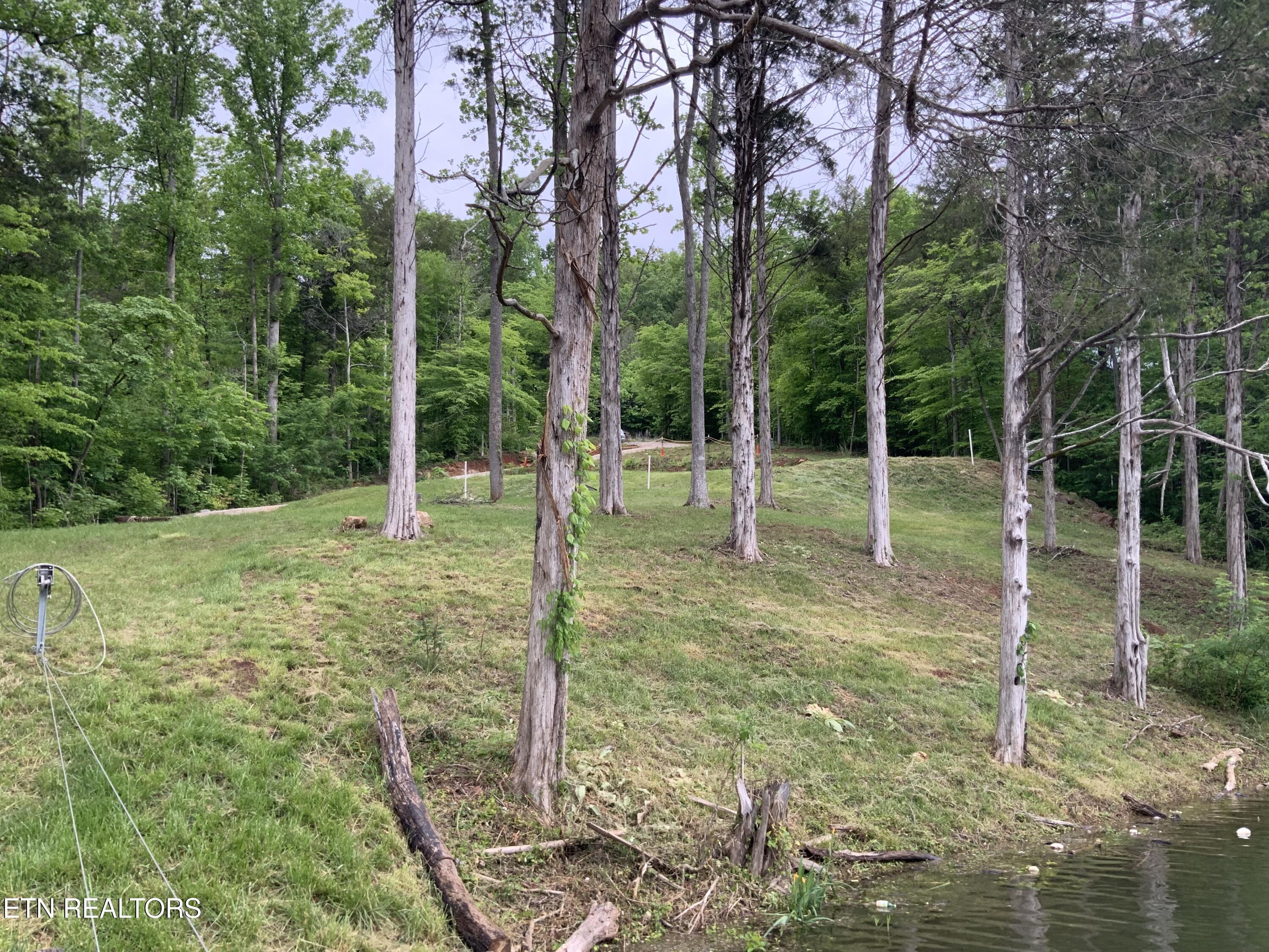 485 Highland Trace Road Sharps Chapel, TN 37866 - Photo 17 of 19 IMG_6683