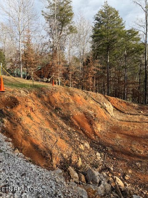 485 Highland Trace Road Sharps Chapel, TN 37866 - Photo 6 of 19 IMG_0189