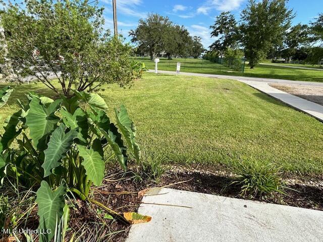 16116 Race Track Road Biloxi, MS 39532 - Photo 23 of 25 Front Yard on Racetrack