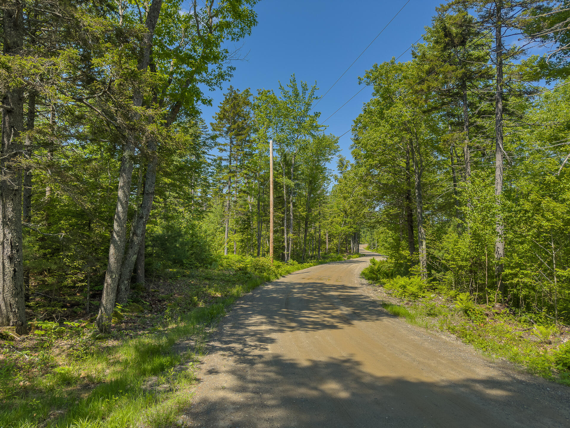 Lot 1 Sodom Road Bristol, ME 04539 - Photo 11 of 29 0_Sodom_Rd_spring-14