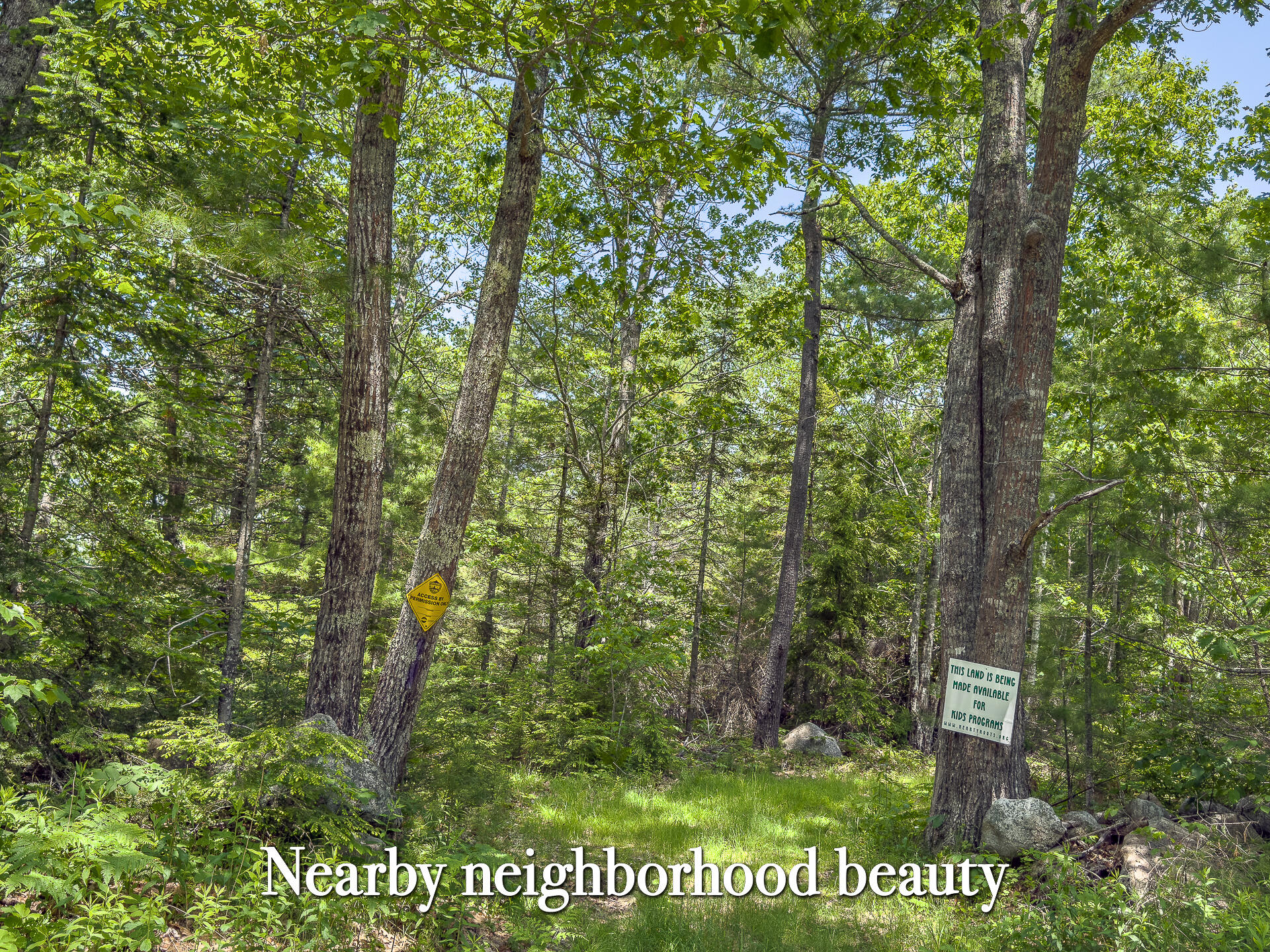 Lot 1 Sodom Road Bristol, ME 04539 - Photo 22 of 29 0_Sodom_Rd_spring-42