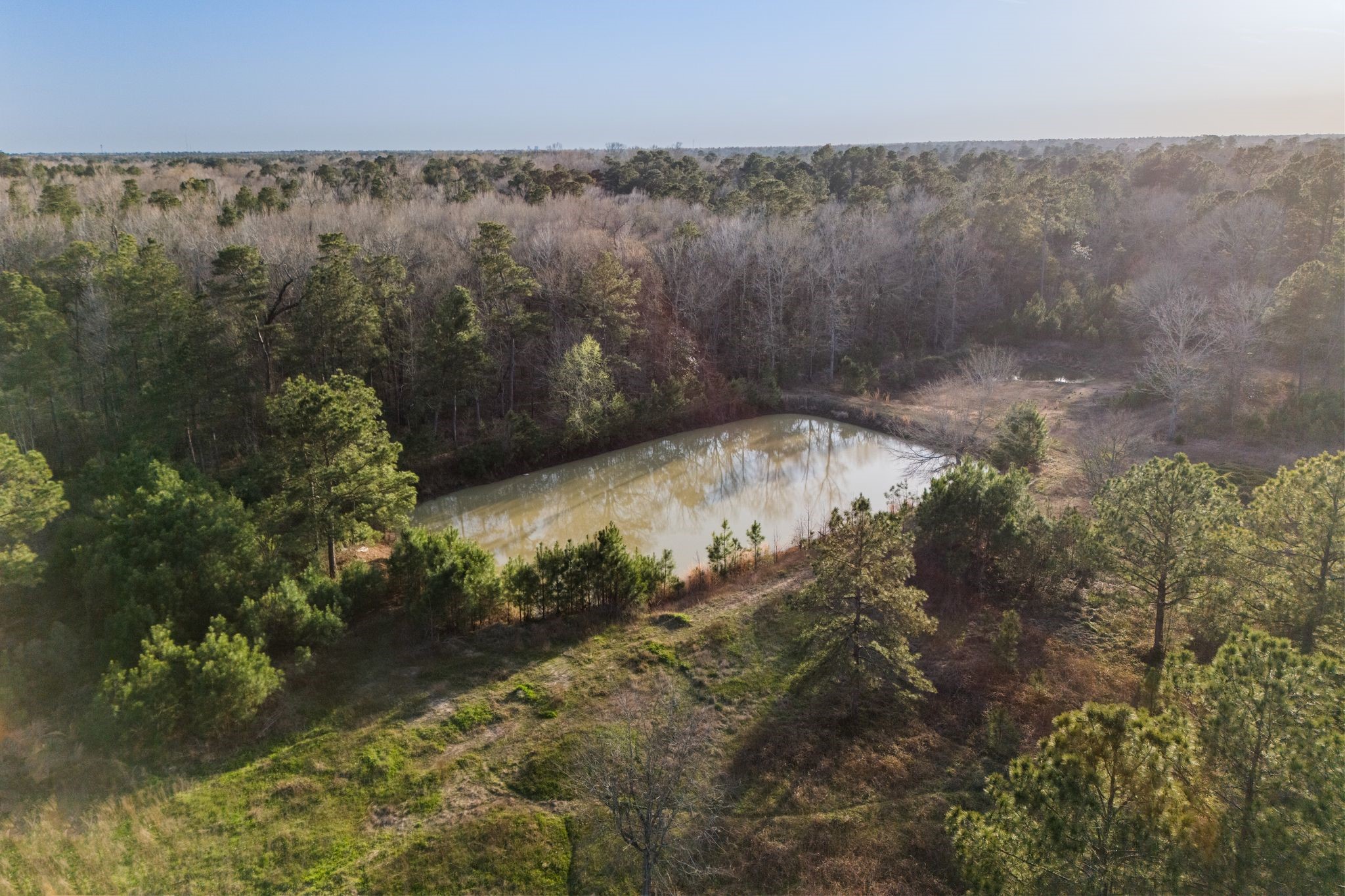2394 Crockett Martin Road Conroe, TX 77306 - Photo 20 of 32