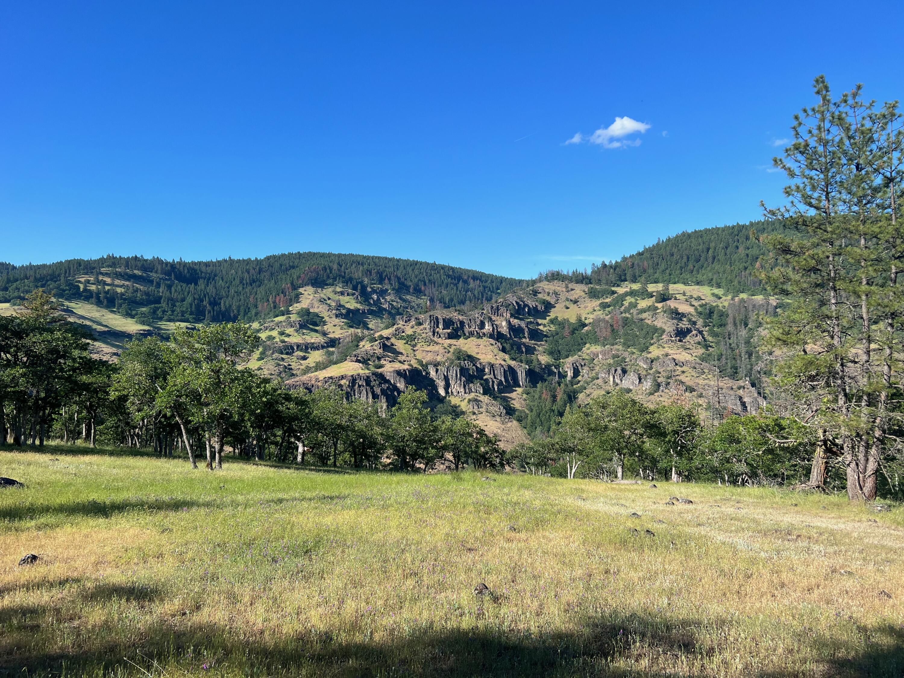 0 South F Little Butte Creek Road, Unit 2700 Eagle Point, OR 97524 - Photo 8 of 16 8