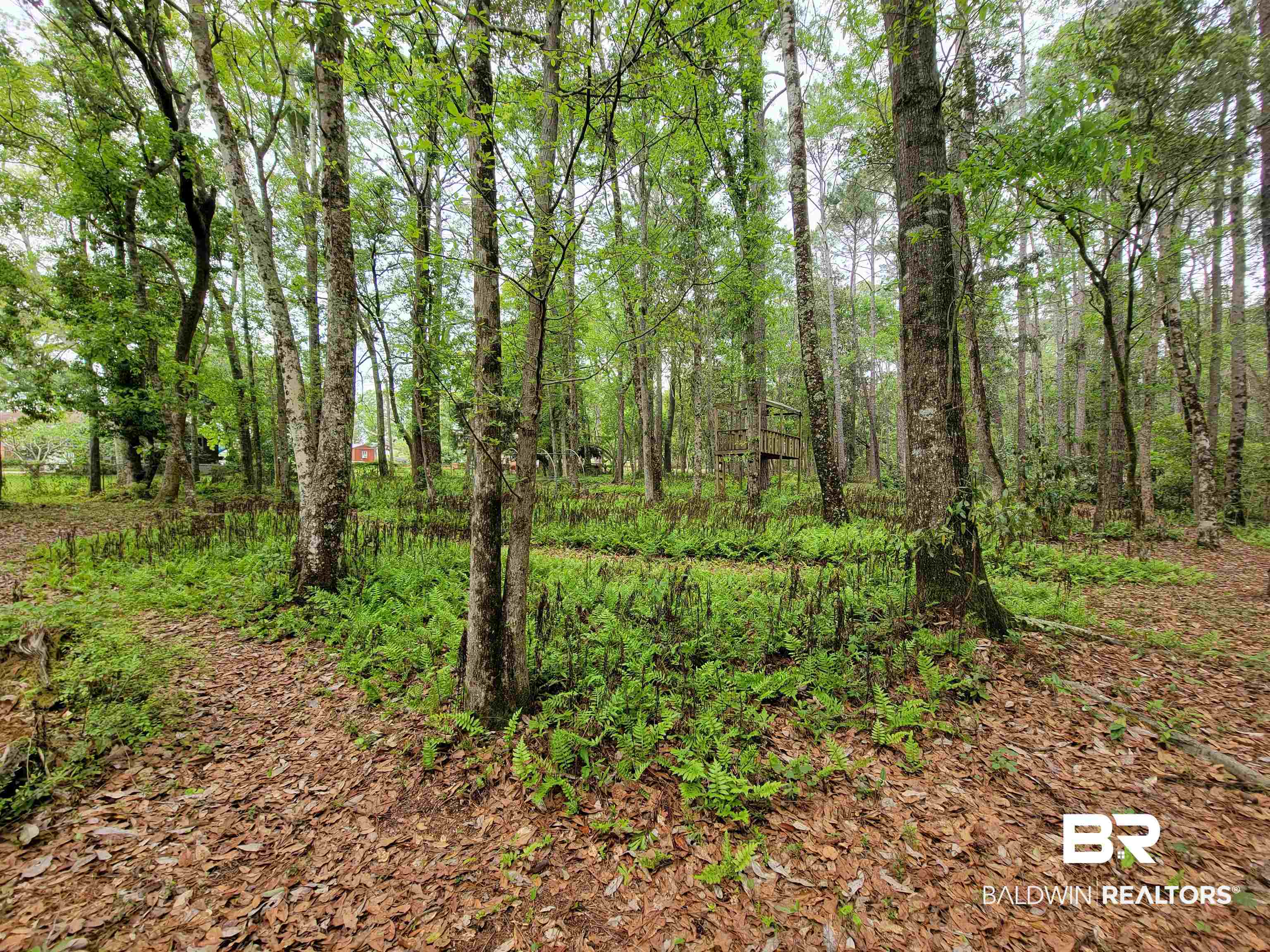 10 County Road Foley, AL 36535 - Photo 8 of 17 Gallery Image 8