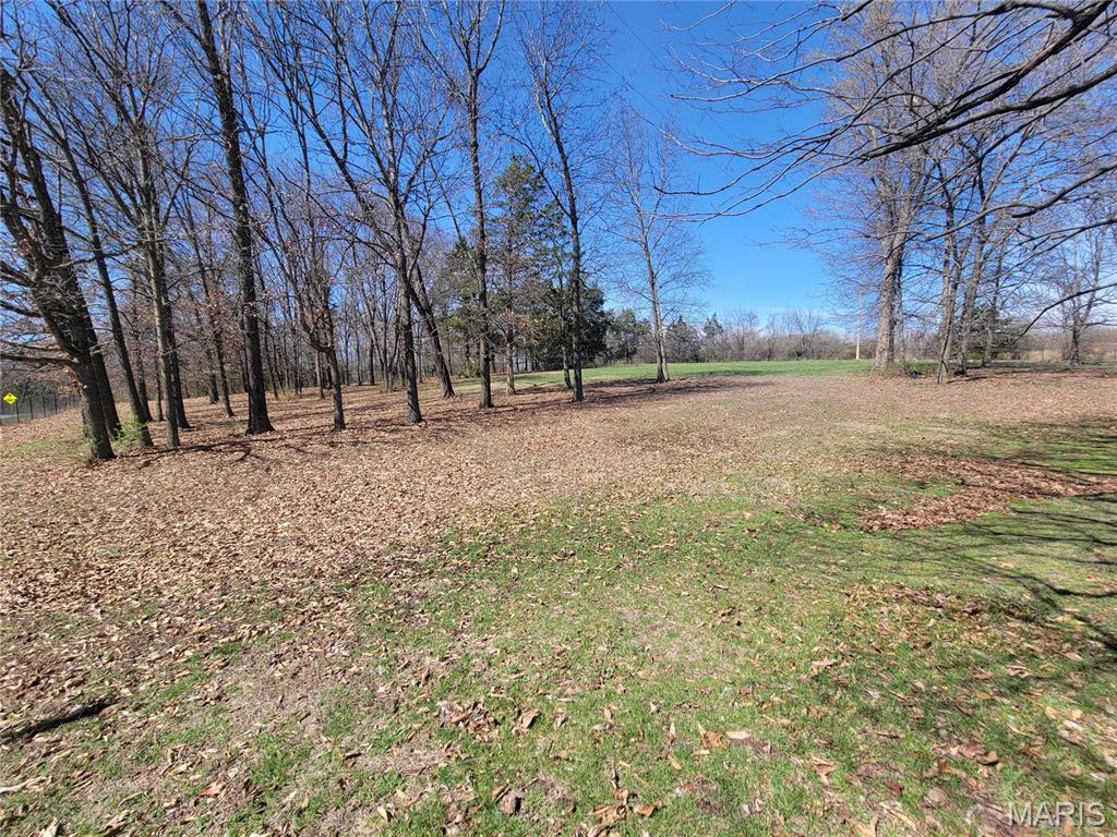 905 Mansion Road Winfield, MO 63389 - Photo 8 of 15