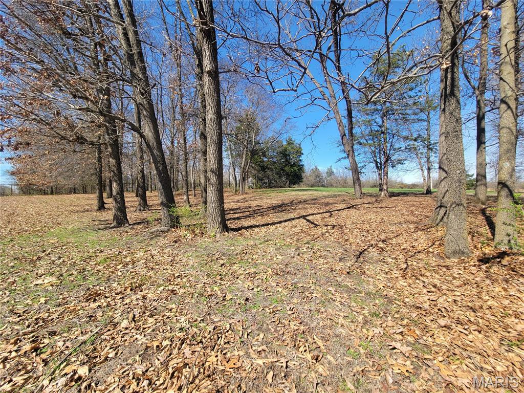 905 Mansion Road Winfield, MO 63389 - Photo 9 of 15