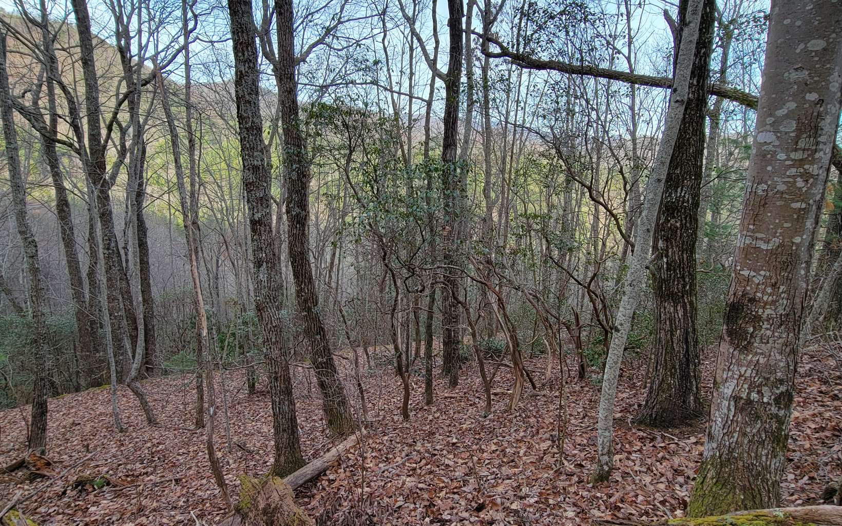 26 Beech Mountain Road Murphy, NC 28906 - Photo 5 of 8 Additional View