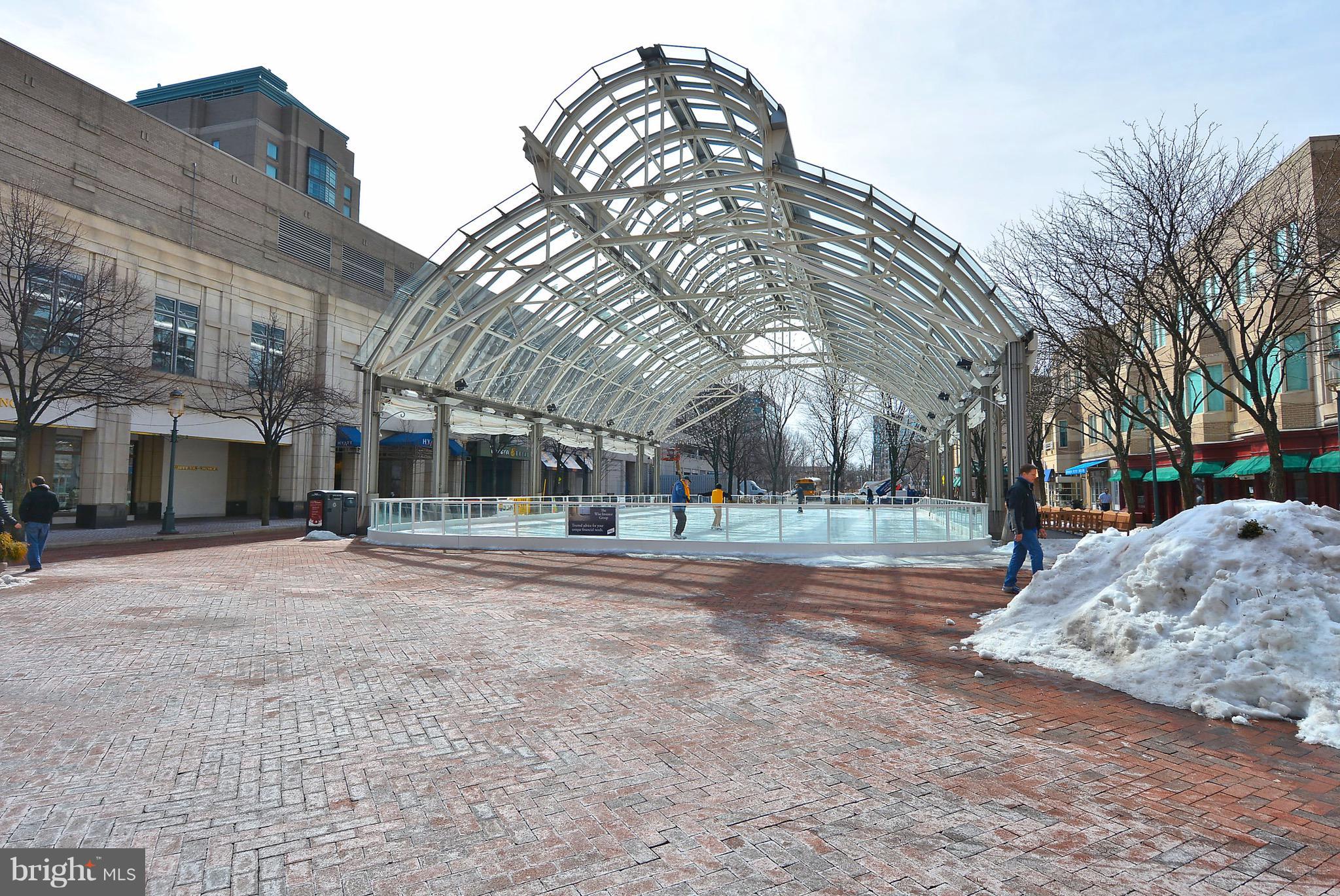 2499 Pyrenees Court Reston, VA 20191 - Photo 24 of 28 Reston Town Center Ice Skating Rink